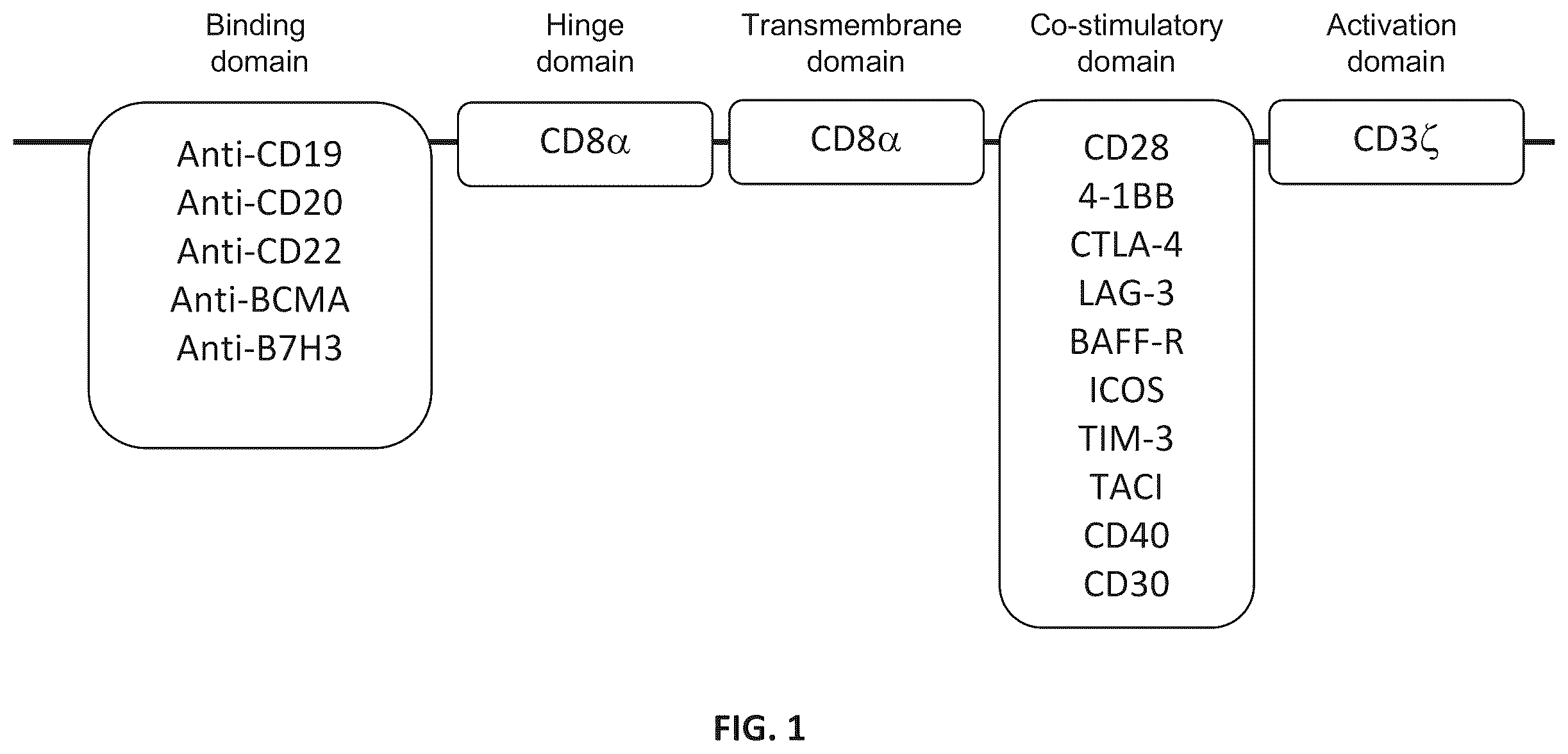Patent US12576150 — CD4+ T cells expressing IL-10 and chimeric antigen receptors and uses thereof — Figure 1