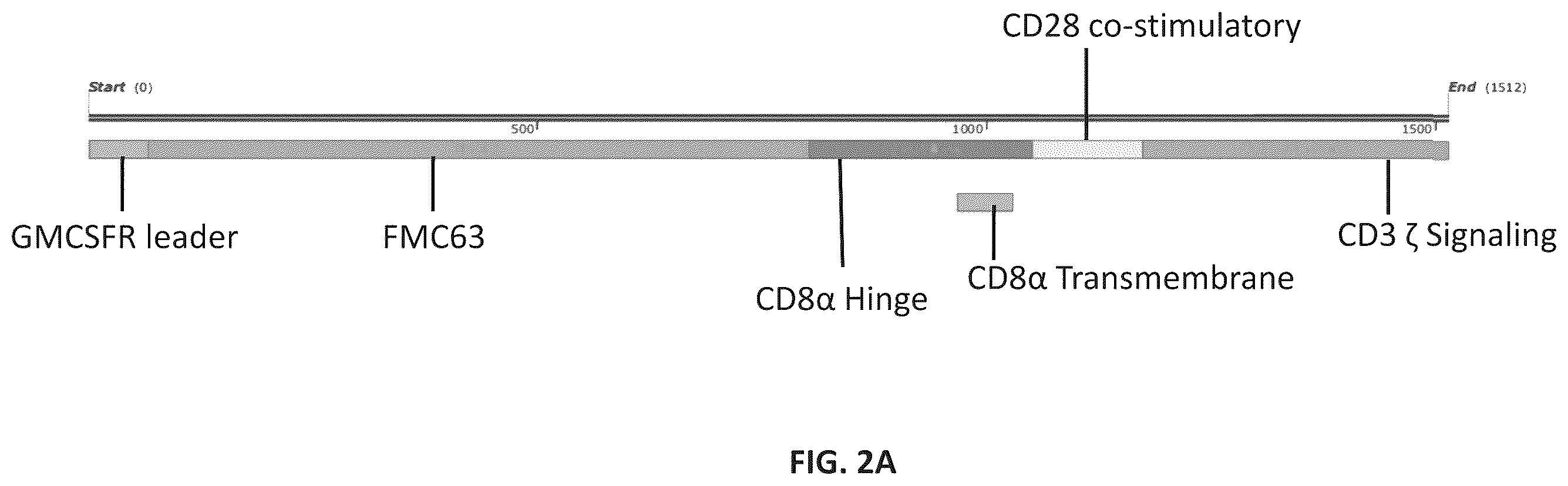 Patent US12576150 Figure 2 – CD4+ T cells expressing IL-10 and chimeric antigen receptors and uses thereof