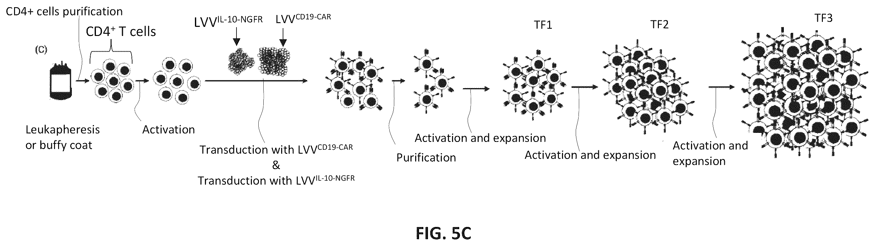 Patent US12576150 Figure 9 – CD4+ T cells expressing IL-10 and chimeric antigen receptors and uses thereof