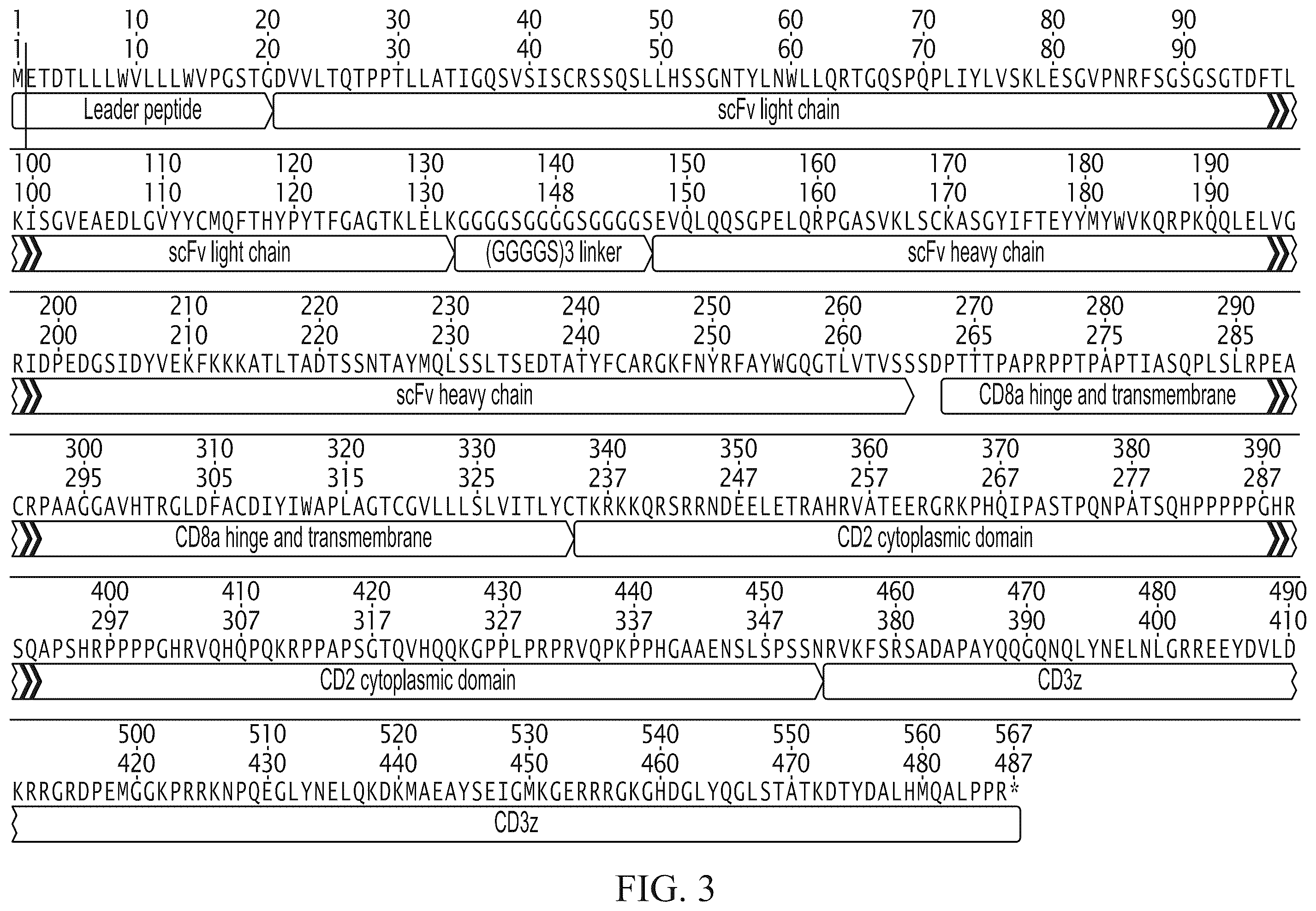 Patent US12576151 Figure 3 – Fratricide resistant modified immune cells and methods of using the same