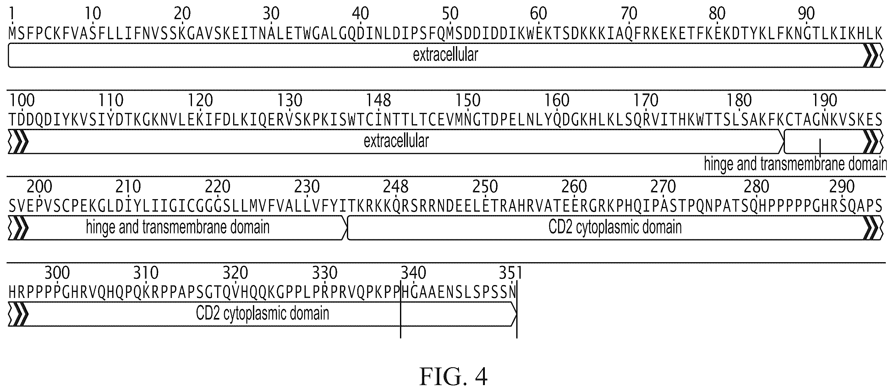Patent US12576151 Figure 4 – Fratricide resistant modified immune cells and methods of using the same