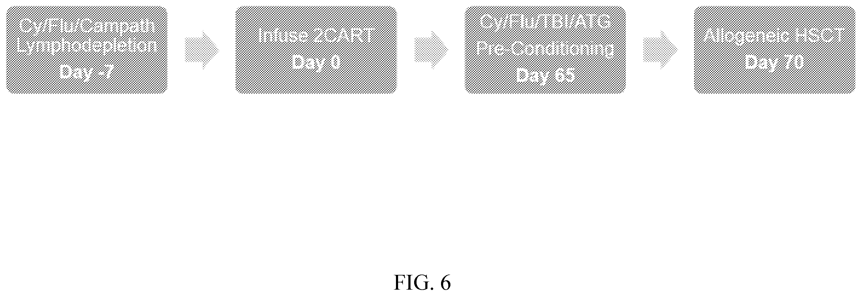 Patent US12576151 Figure 6 – Fratricide resistant modified immune cells and methods of using the same