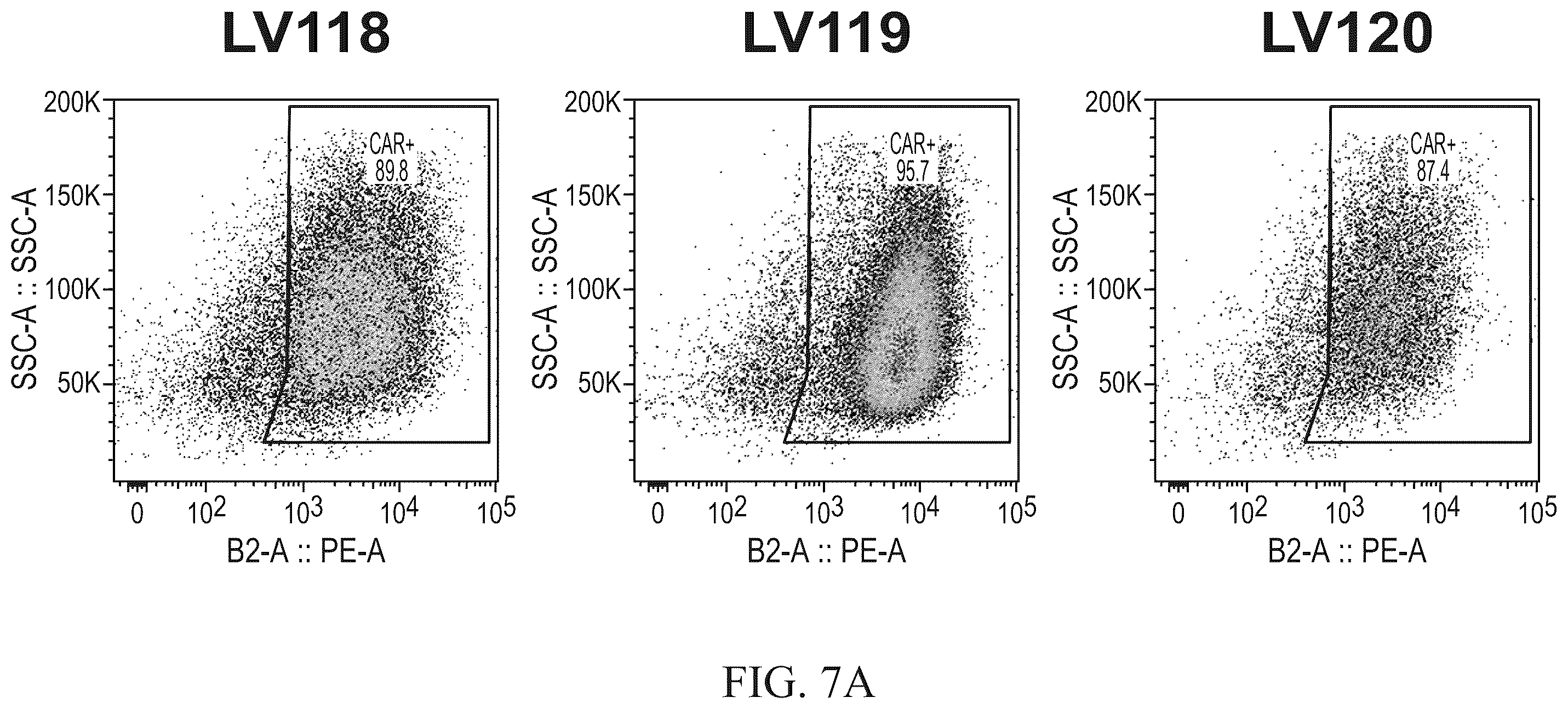 Patent US12576151 Figure 7 – Fratricide resistant modified immune cells and methods of using the same