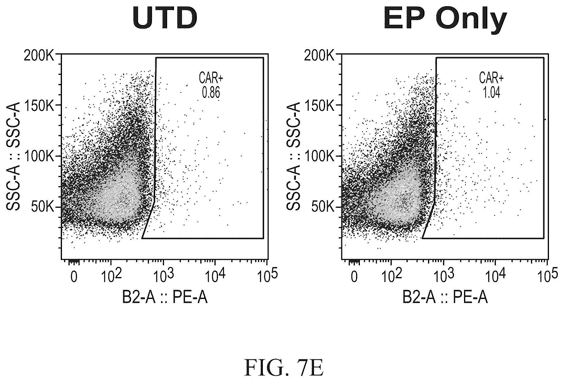 Patent US12576151 Figure 11 – Fratricide resistant modified immune cells and methods of using the same
