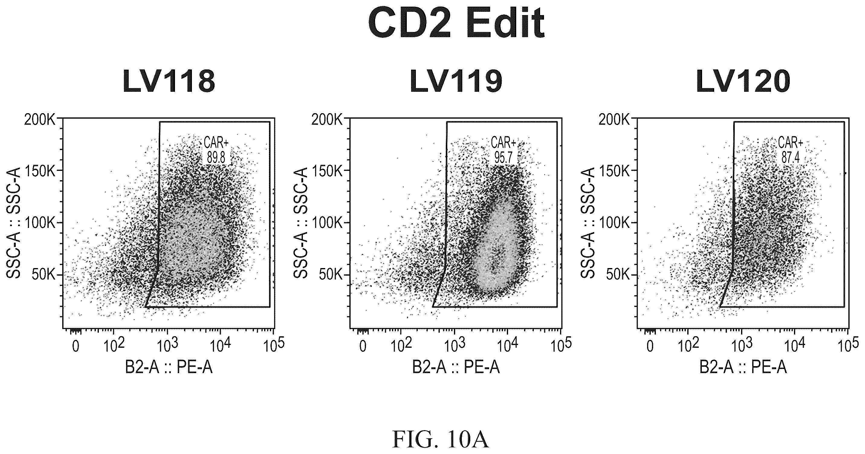 Patent US12576151 Figure 20 – Fratricide resistant modified immune cells and methods of using the same