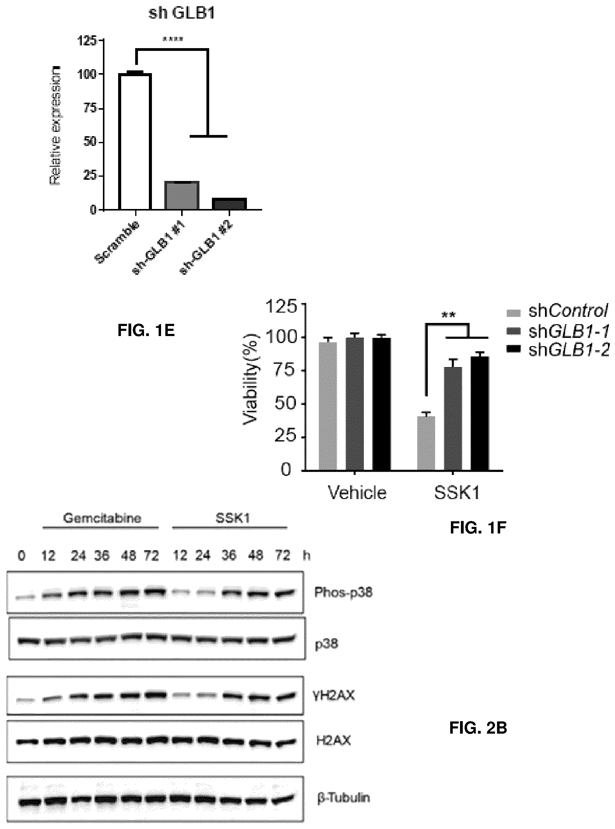 Patent US12576155 Figure 3 – Senolytic and antiinflammatory prodrugs and methods of use thereof