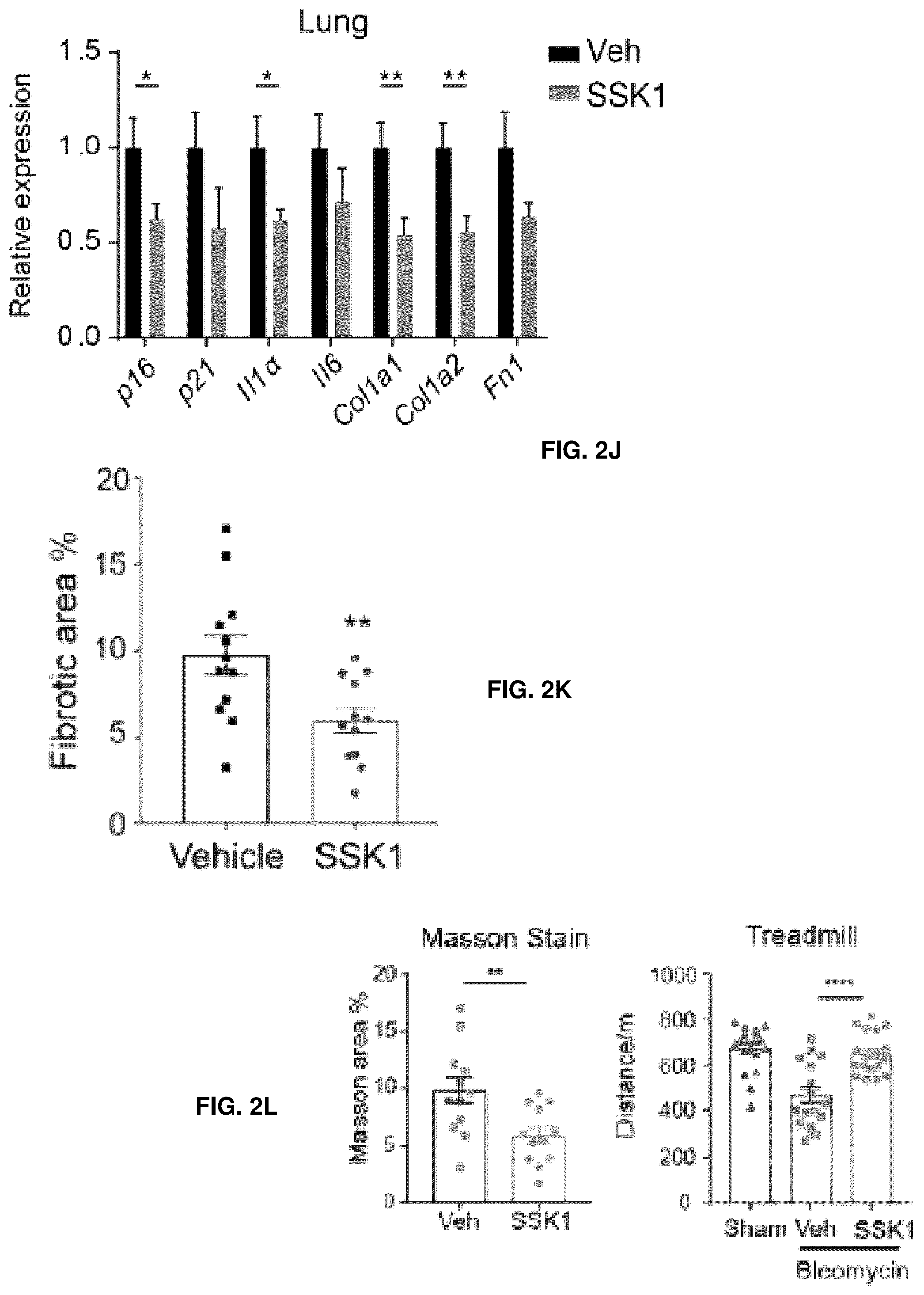 Patent US12576155 Figure 8 – Senolytic and antiinflammatory prodrugs and methods of use thereof