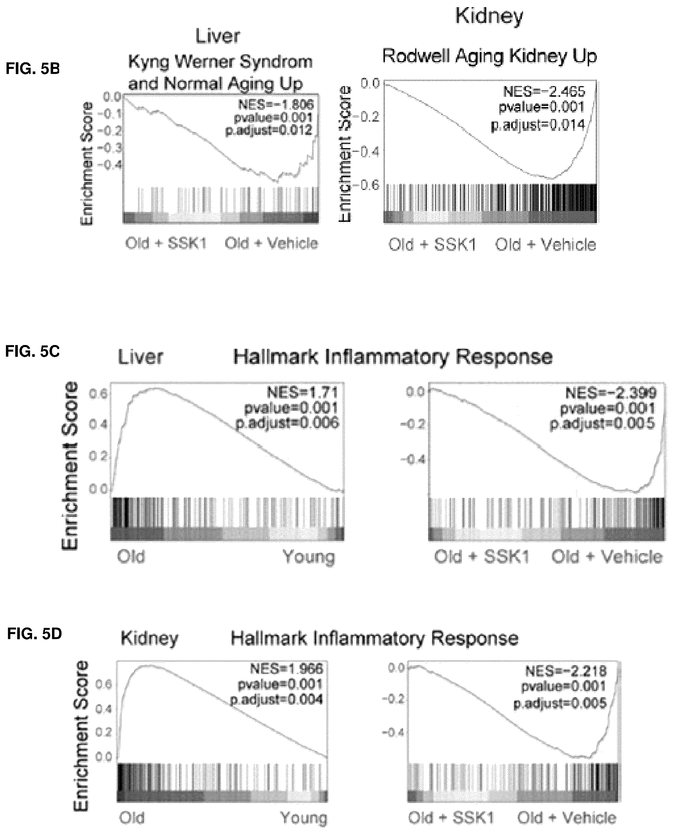 Patent US12576155 Figure 14 – Senolytic and antiinflammatory prodrugs and methods of use thereof