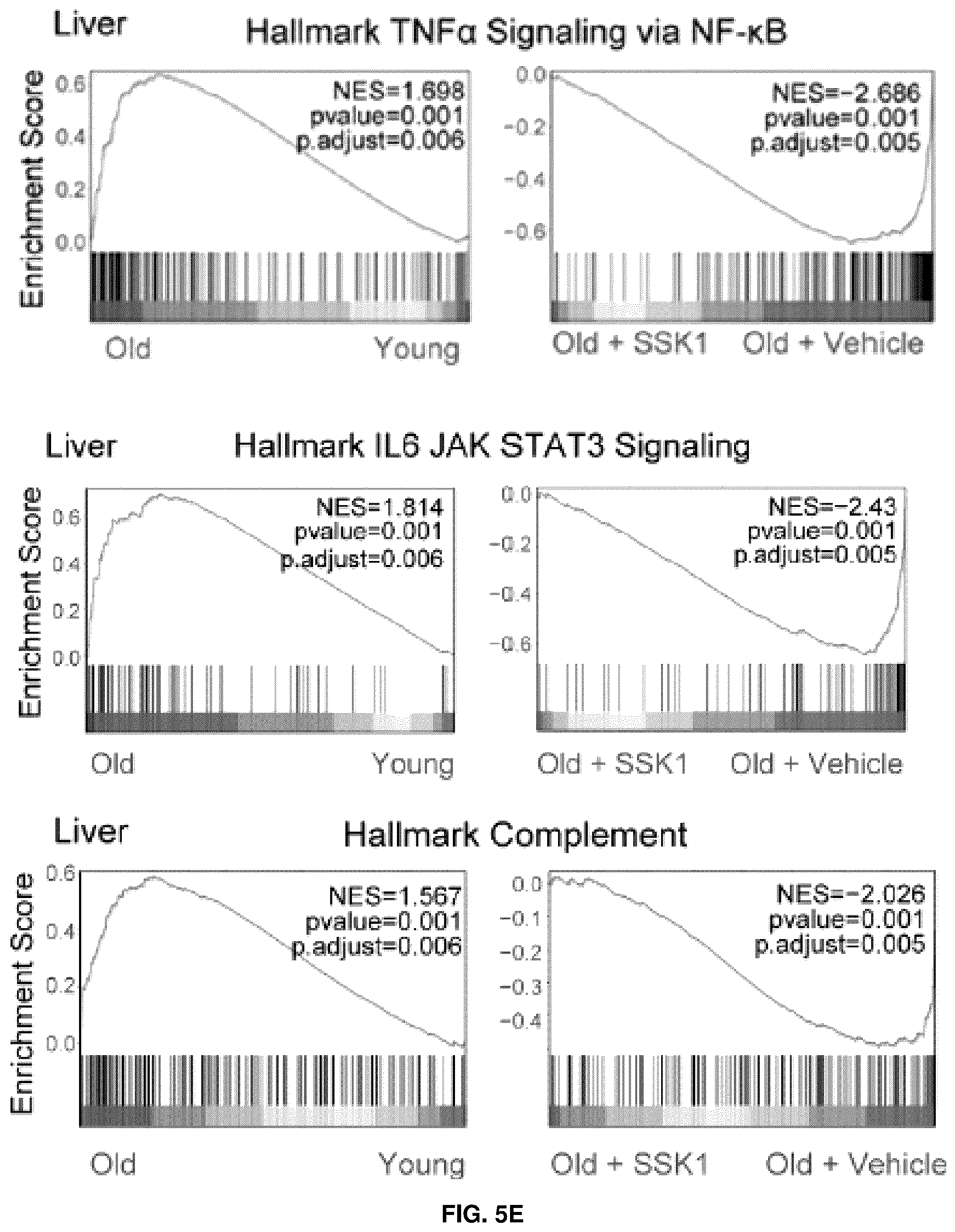 Patent US12576155 Figure 15 – Senolytic and antiinflammatory prodrugs and methods of use thereof