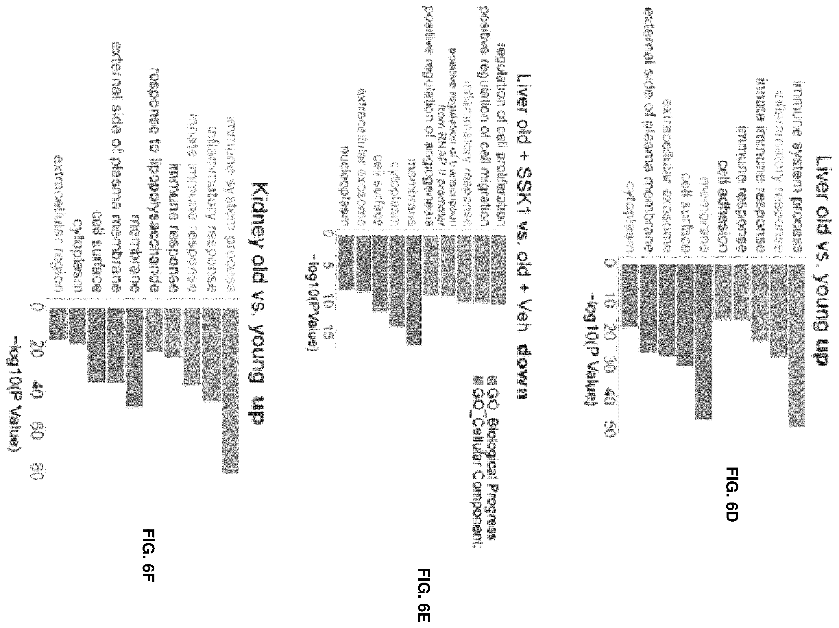 Patent US12576155 Figure 18 – Senolytic and antiinflammatory prodrugs and methods of use thereof