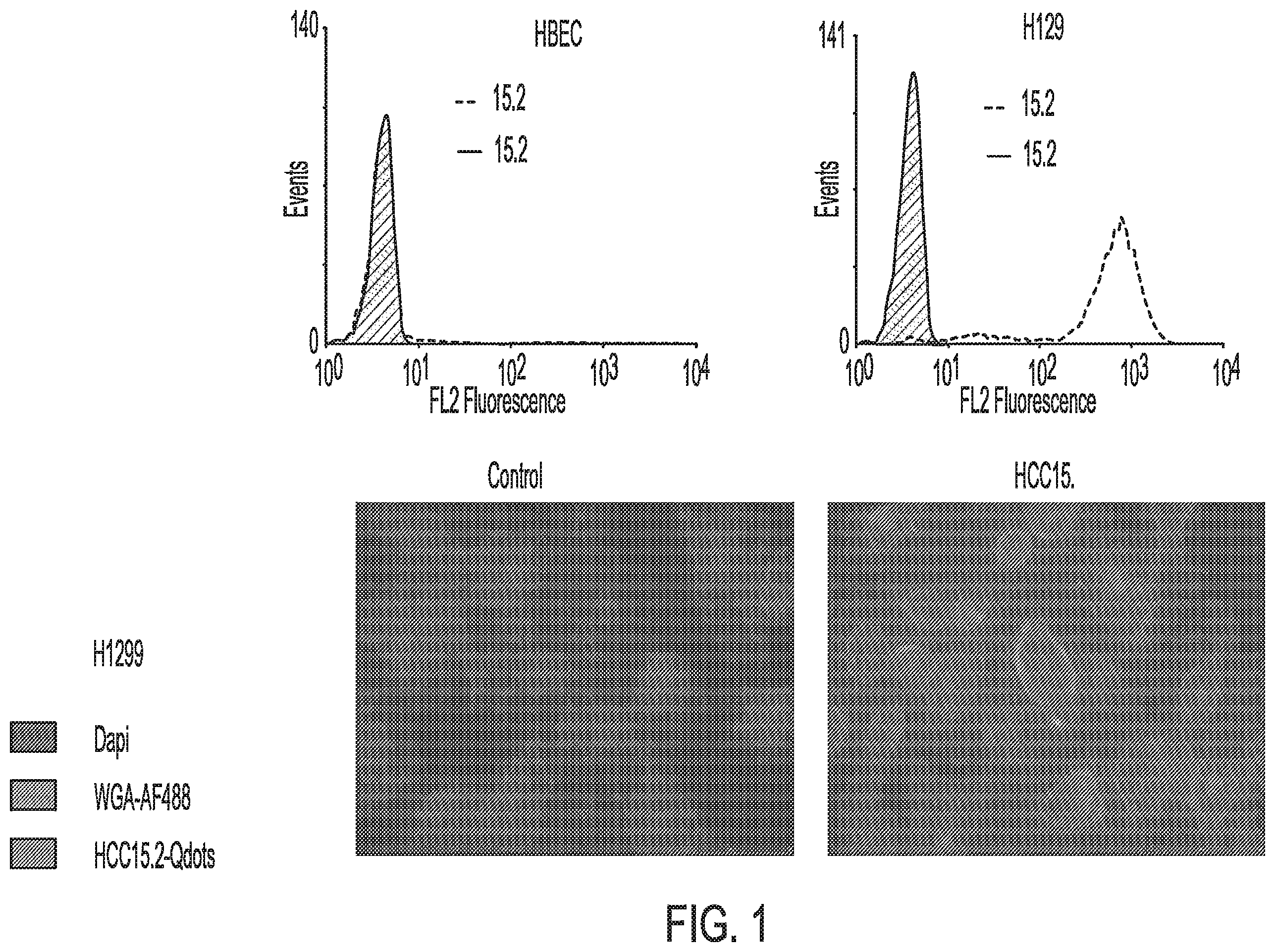 Patent US12576157 Figure 1 – Peptide saporin conjugate for the treatment of cancer