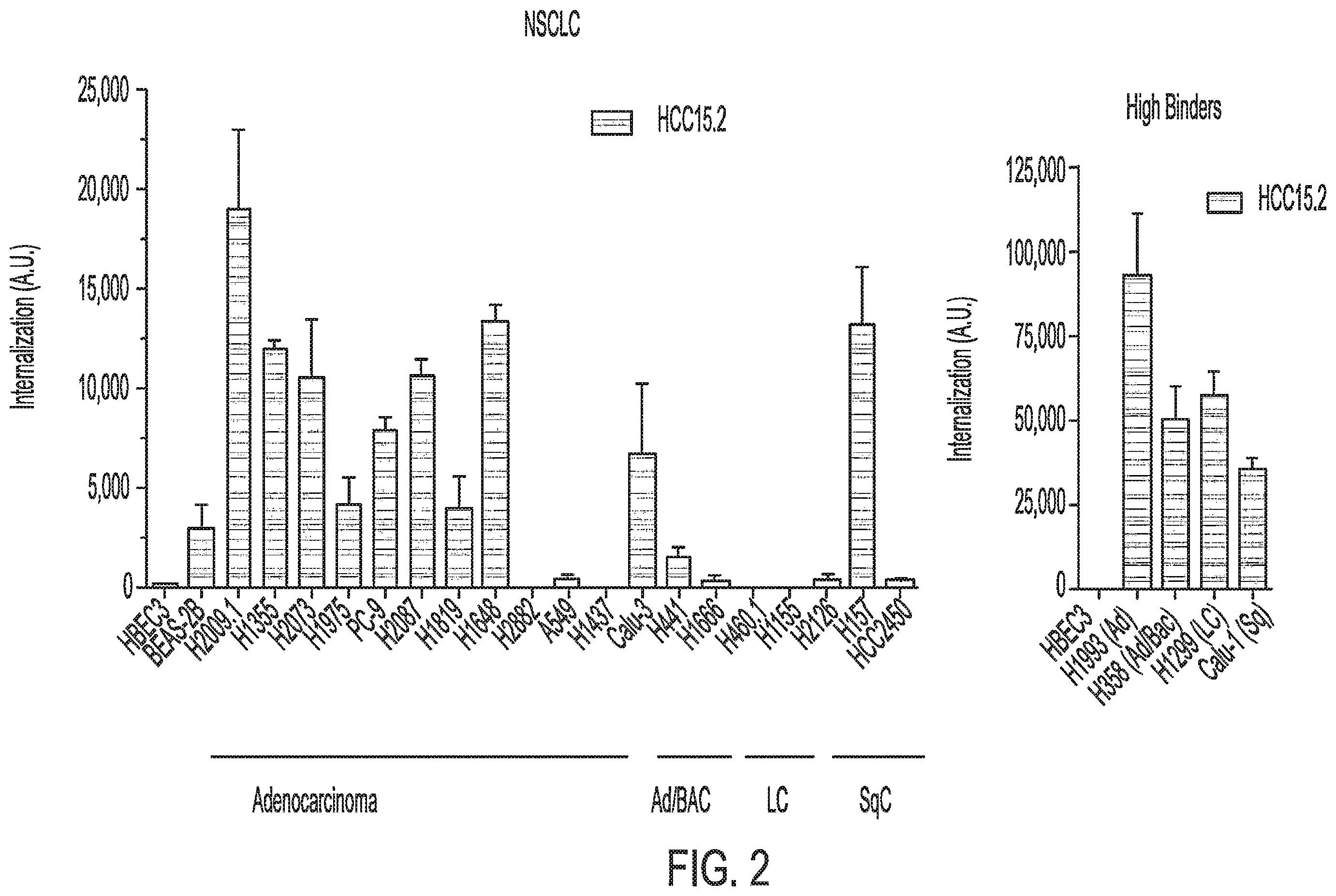 Patent US12576157 Figure 2 – Peptide saporin conjugate for the treatment of cancer
