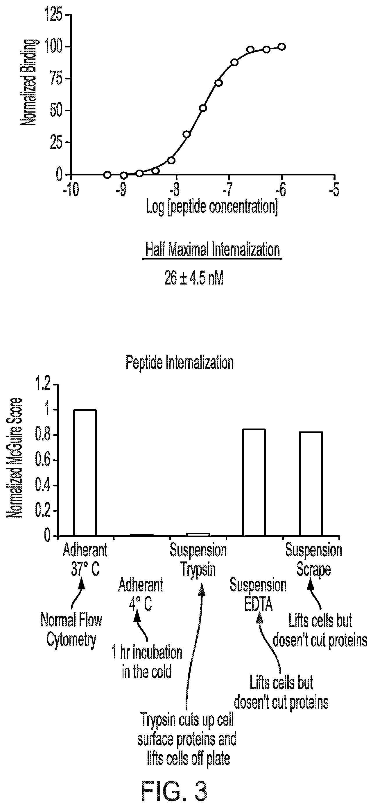 Patent US12576157 Figure 3 – Peptide saporin conjugate for the treatment of cancer