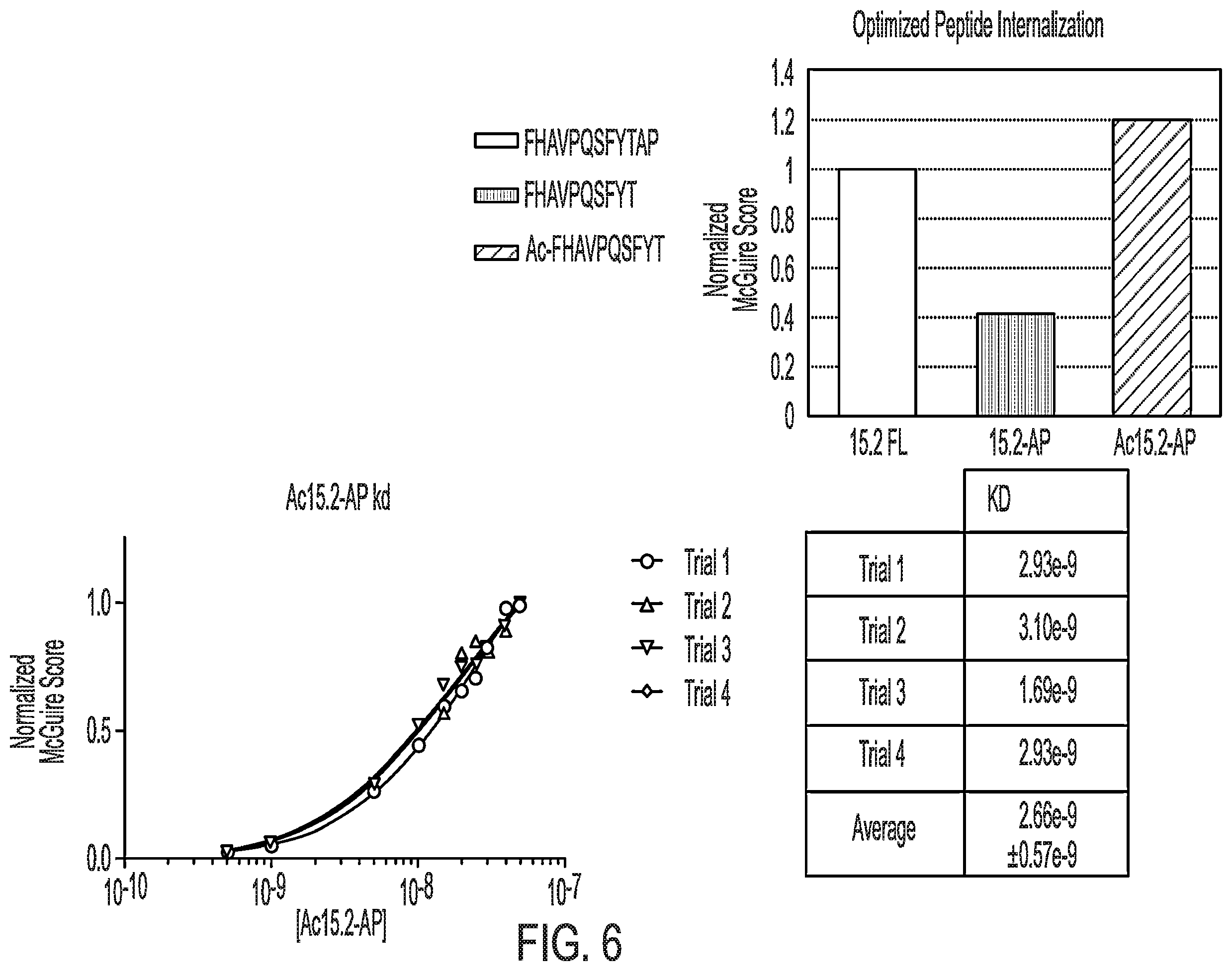 Patent US12576157 Figure 6 – Peptide saporin conjugate for the treatment of cancer