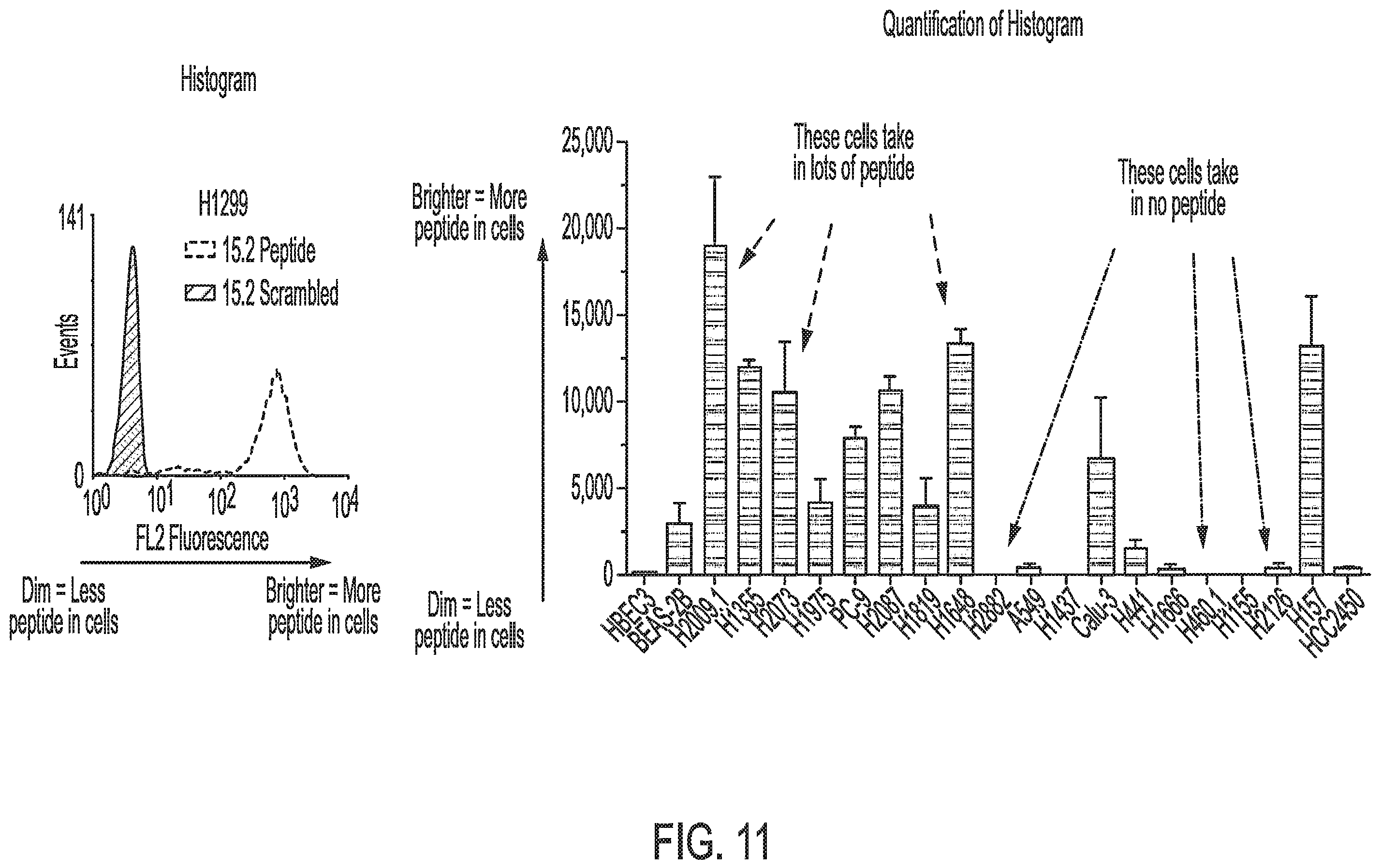 Patent US12576157 Figure 11 – Peptide saporin conjugate for the treatment of cancer