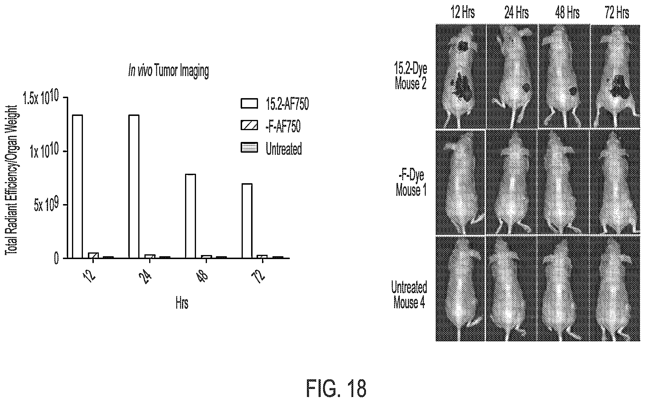 Patent US12576157 Figure 18 – Peptide saporin conjugate for the treatment of cancer