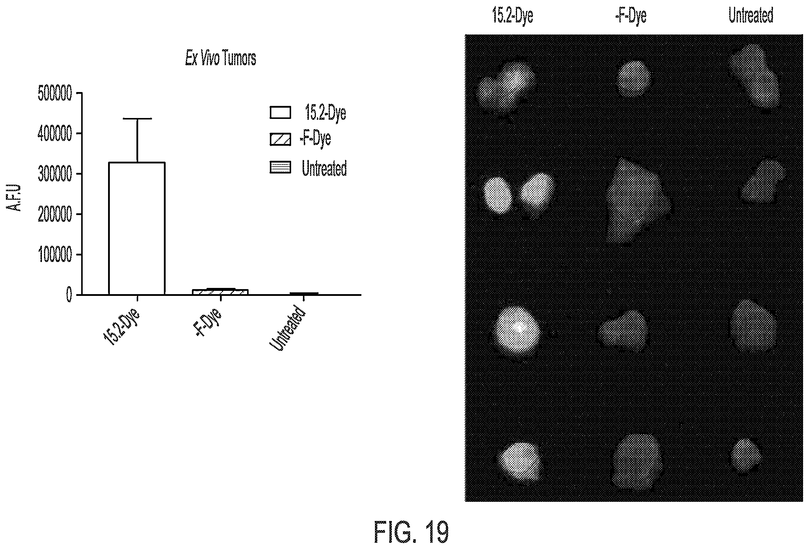 Patent US12576157 Figure 19 – Peptide saporin conjugate for the treatment of cancer