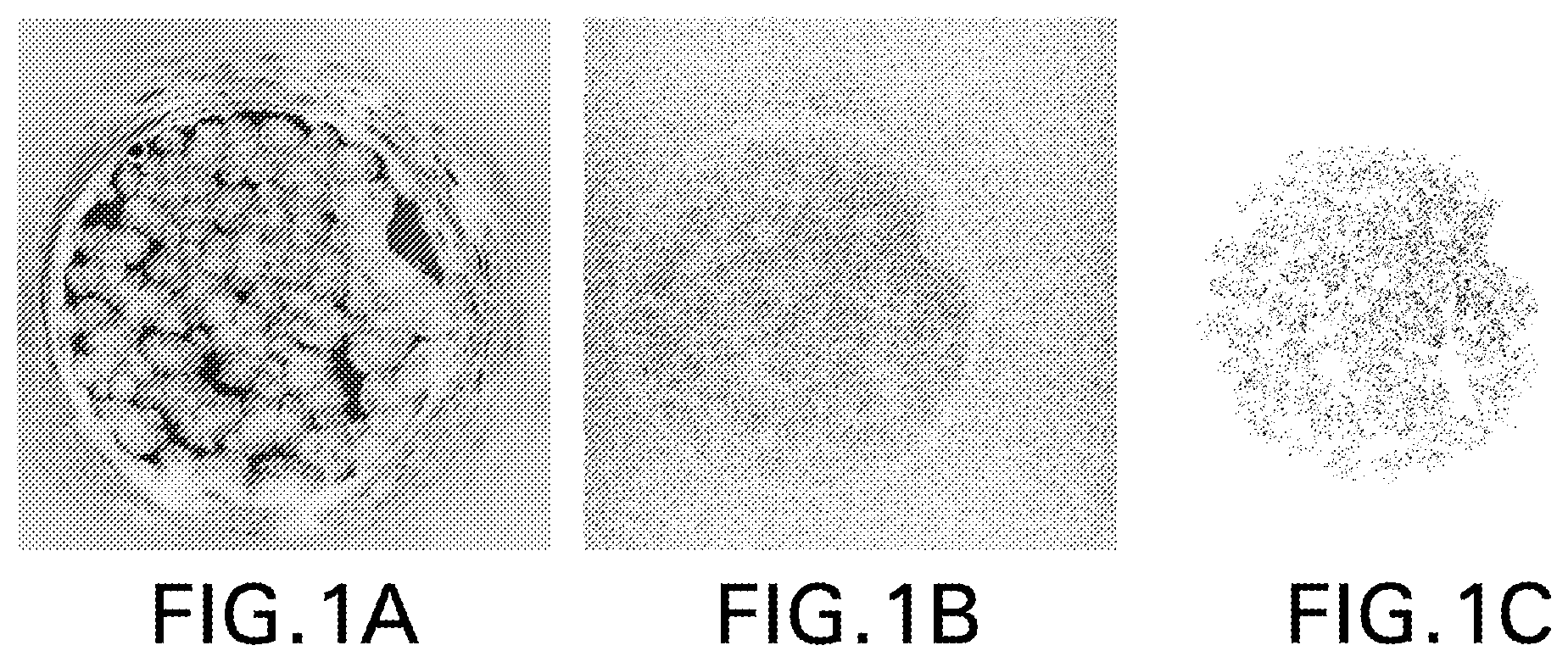 Patent US12576159 Figure 1 – Anti-human PD-1 antibody crystals and methods of use thereof
