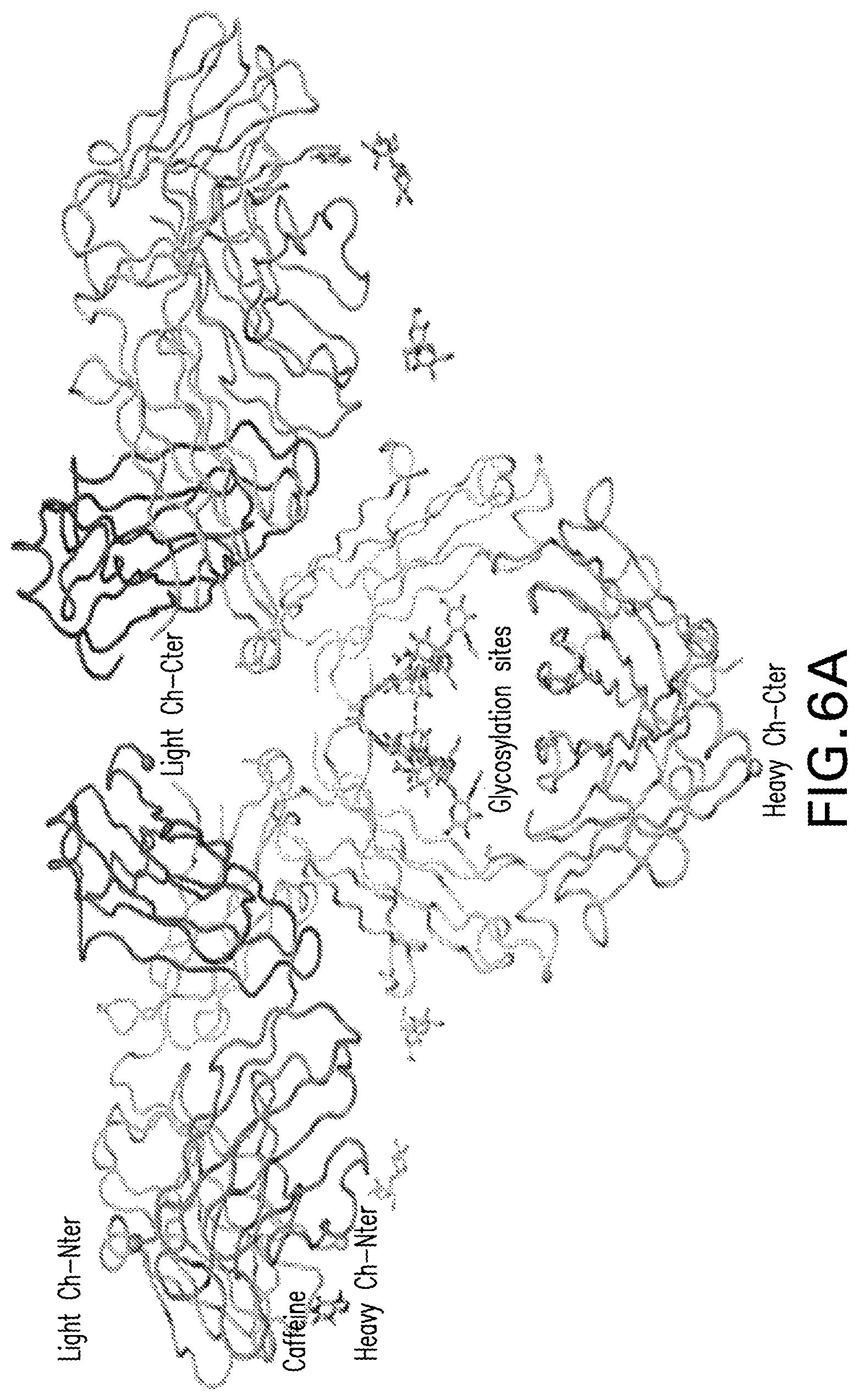 Patent US12576159 Figure 6 – Anti-human PD-1 antibody crystals and methods of use thereof