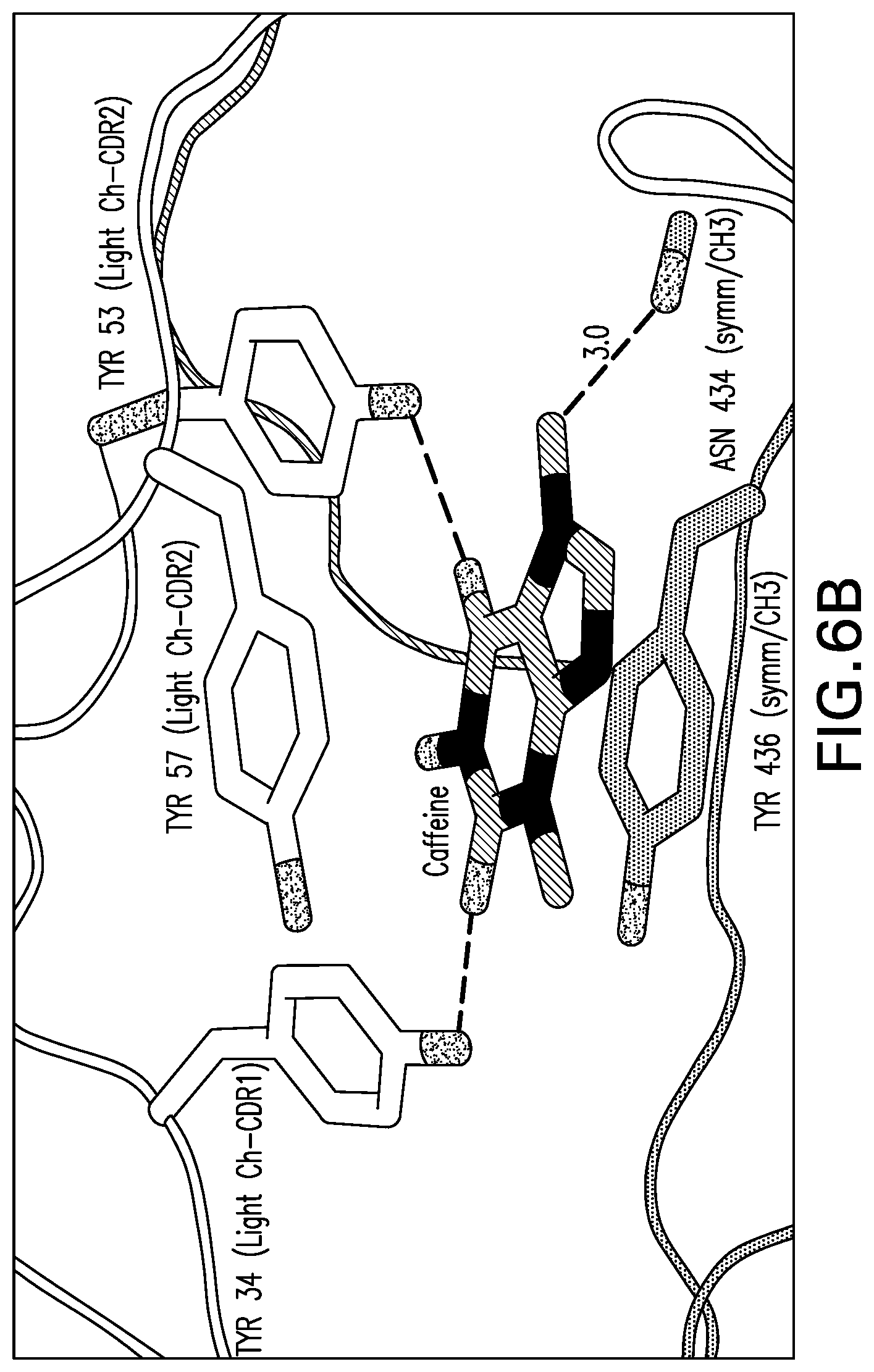 Patent US12576159 Figure 7 – Anti-human PD-1 antibody crystals and methods of use thereof