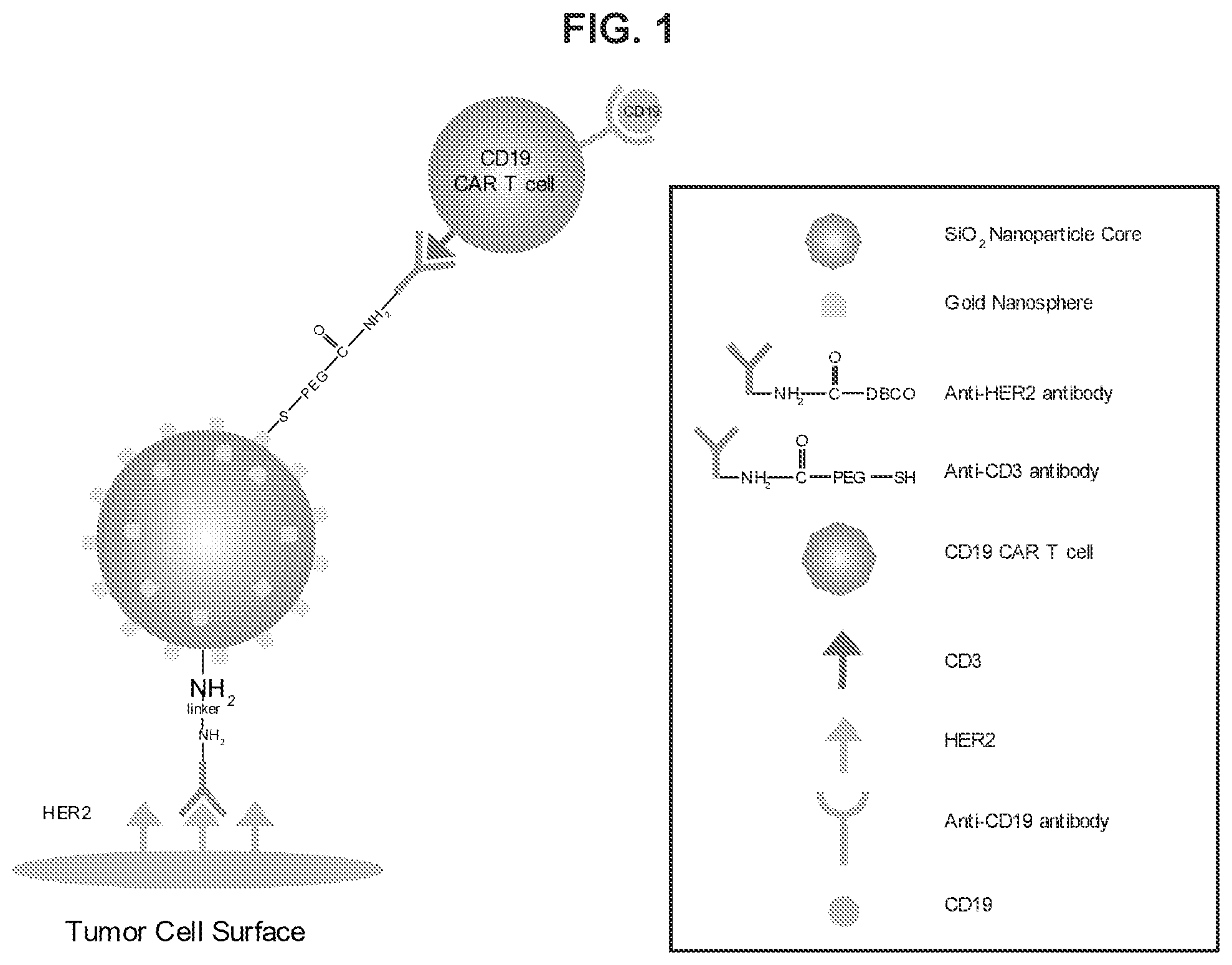 Patent US12576160 — Bispecific nanoparticle systems for targeting cancer cells — Figure 1