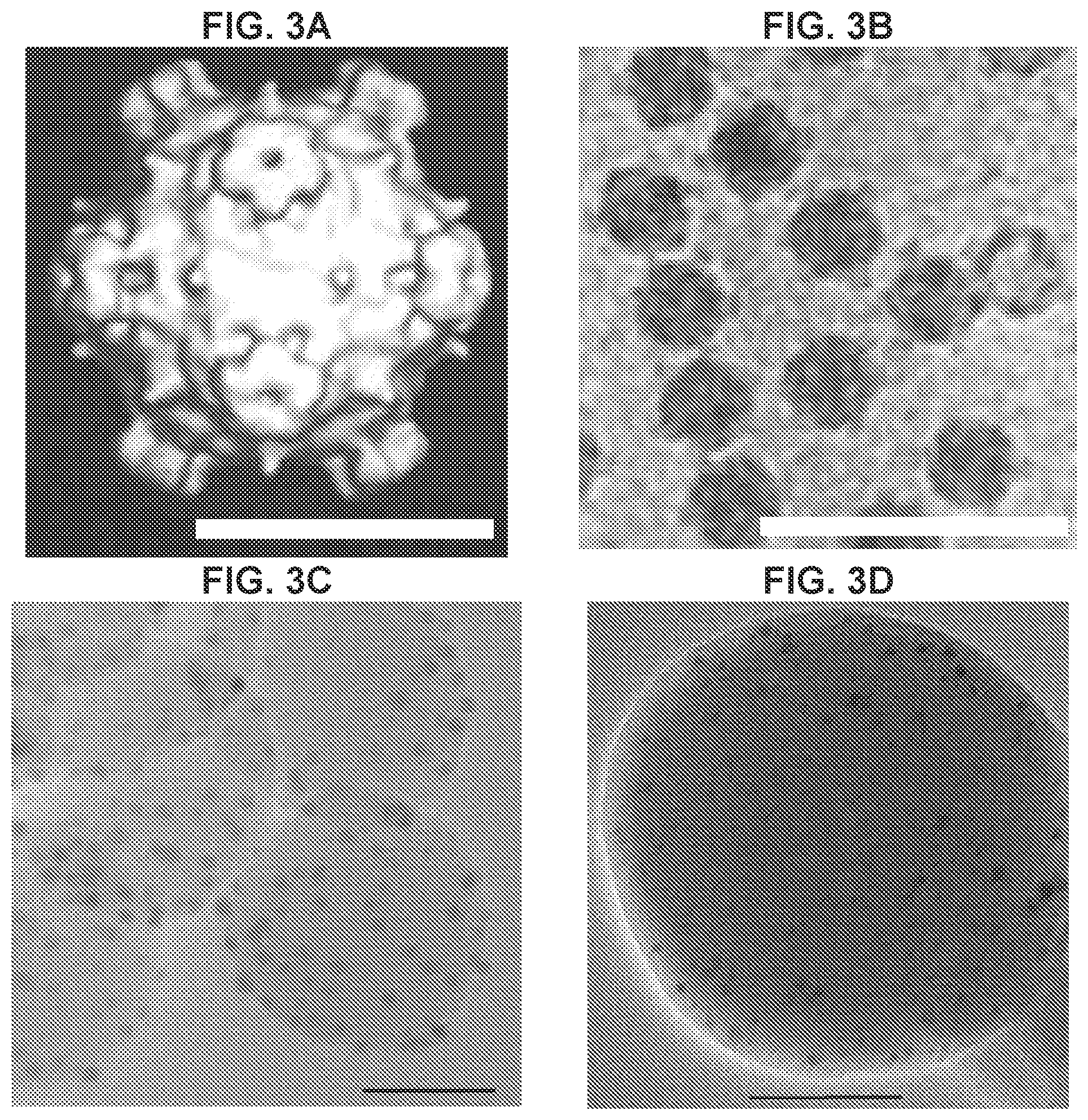 Patent US12576160 Figure 4 – Bispecific nanoparticle systems for targeting cancer cells