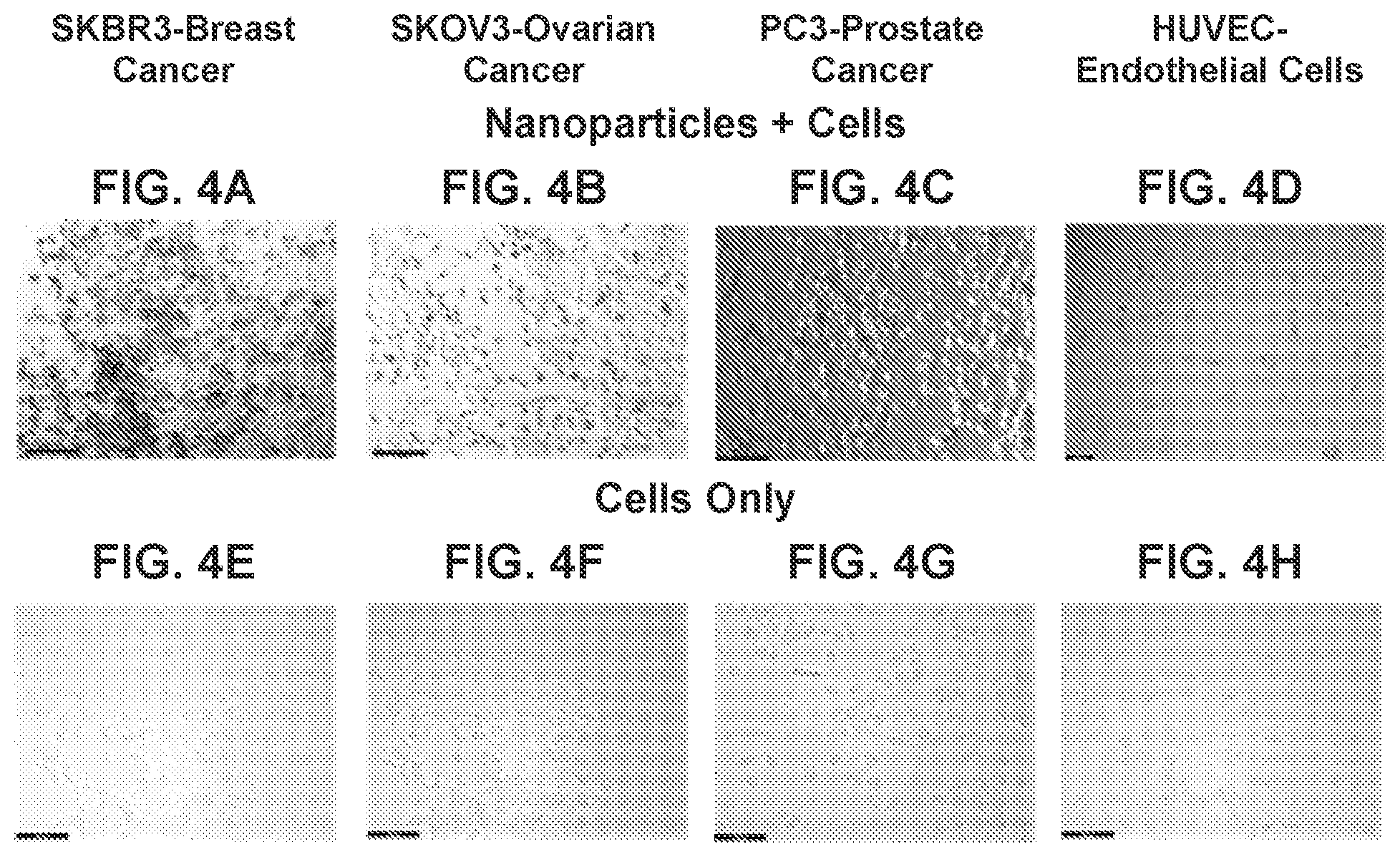 Patent US12576160 Figure 6 – Bispecific nanoparticle systems for targeting cancer cells