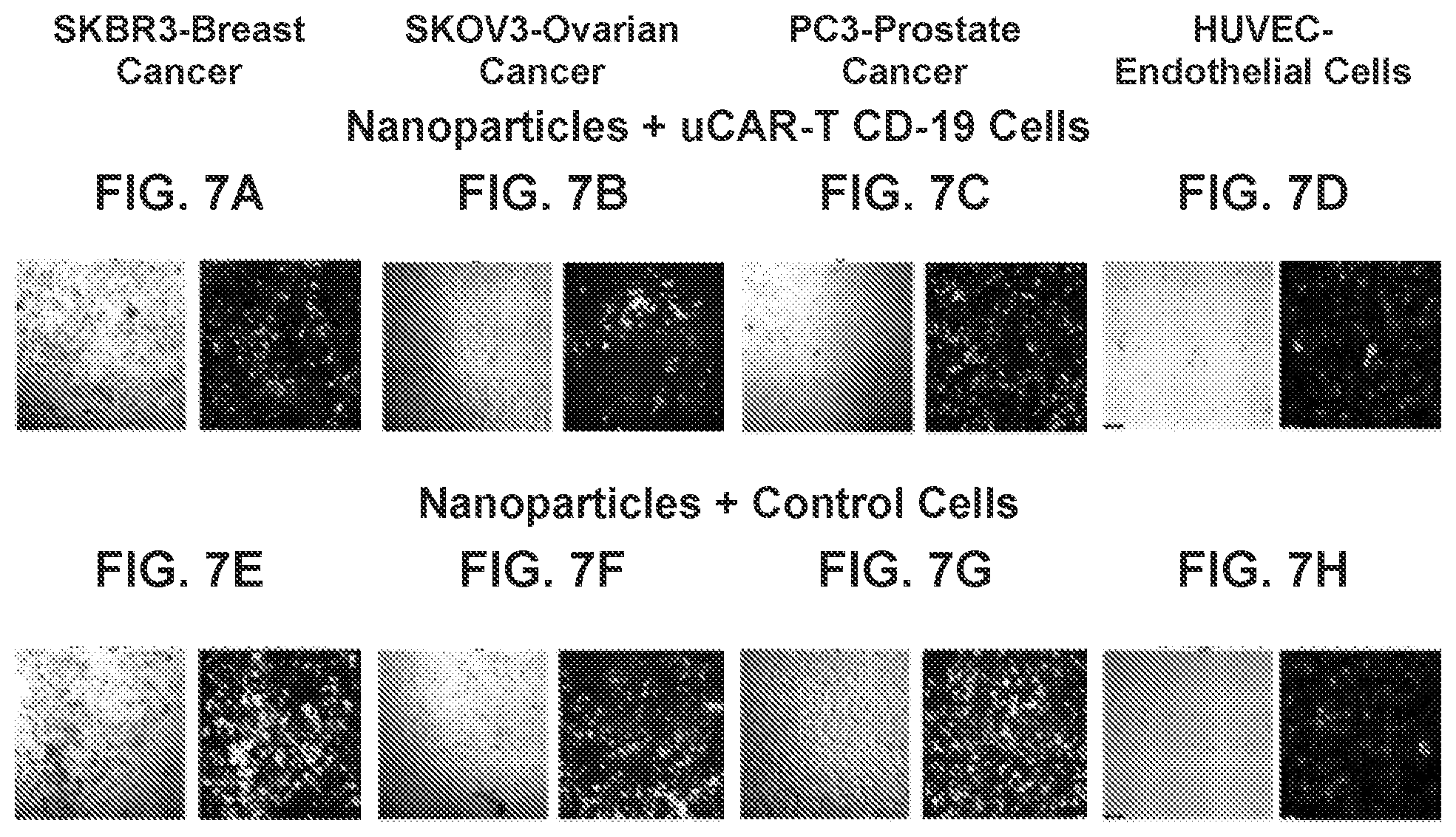 Patent US12576160 Figure 9 – Bispecific nanoparticle systems for targeting cancer cells