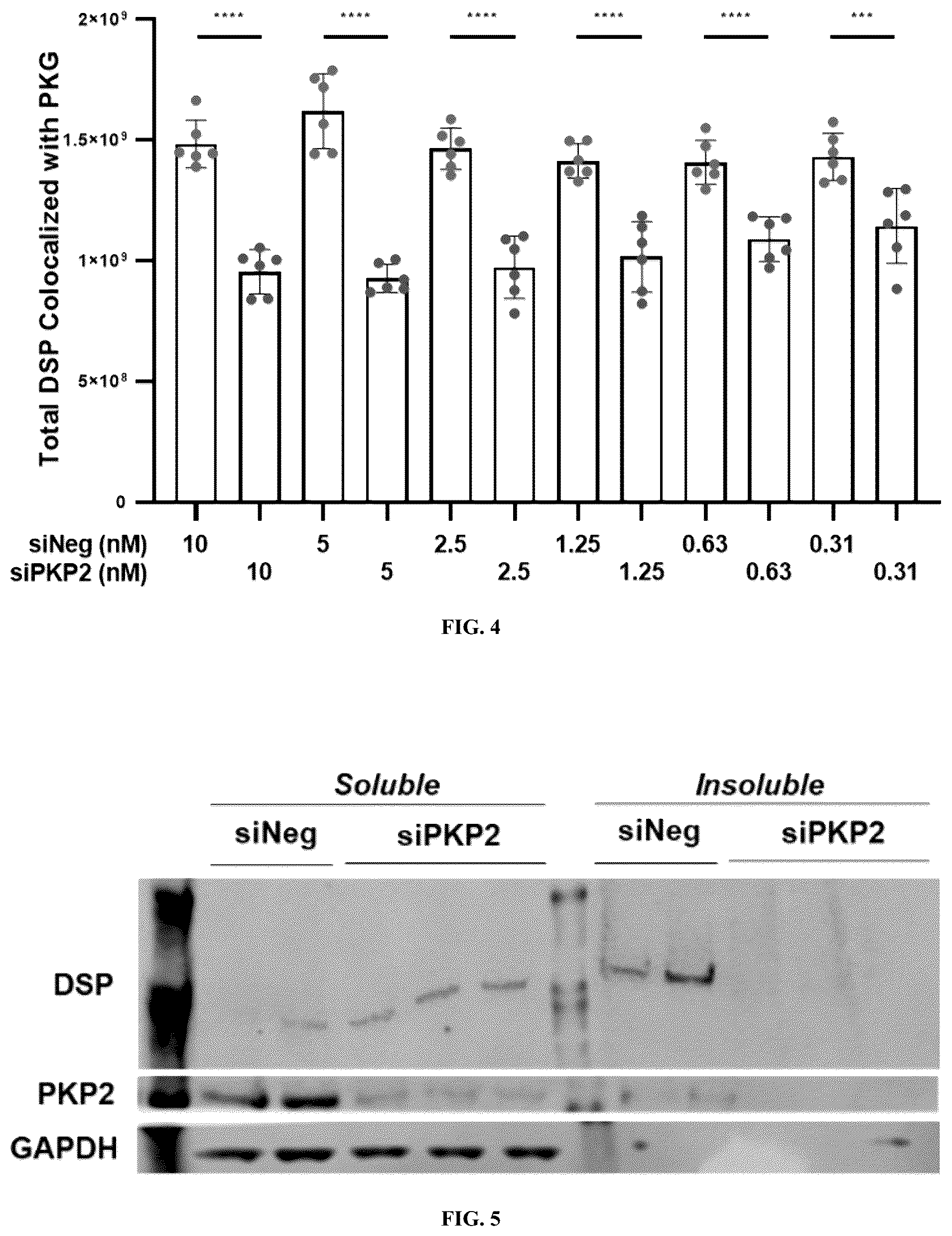 Patent US12576161 Figure 6 – Plakophillin-2 gene therapy methods and compositions