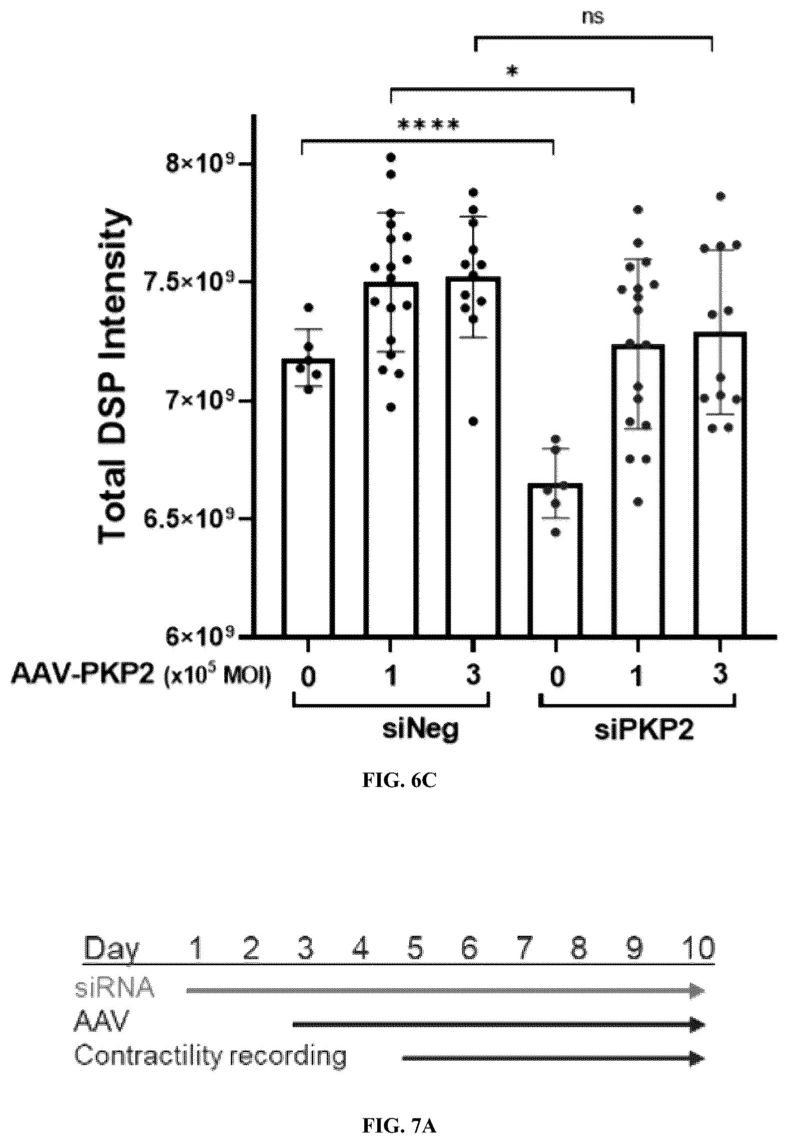 Patent US12576161 Figure 8 – Plakophillin-2 gene therapy methods and compositions