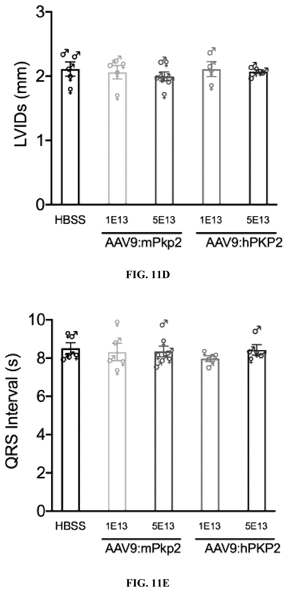Patent US12576161 Figure 14 – Plakophillin-2 gene therapy methods and compositions