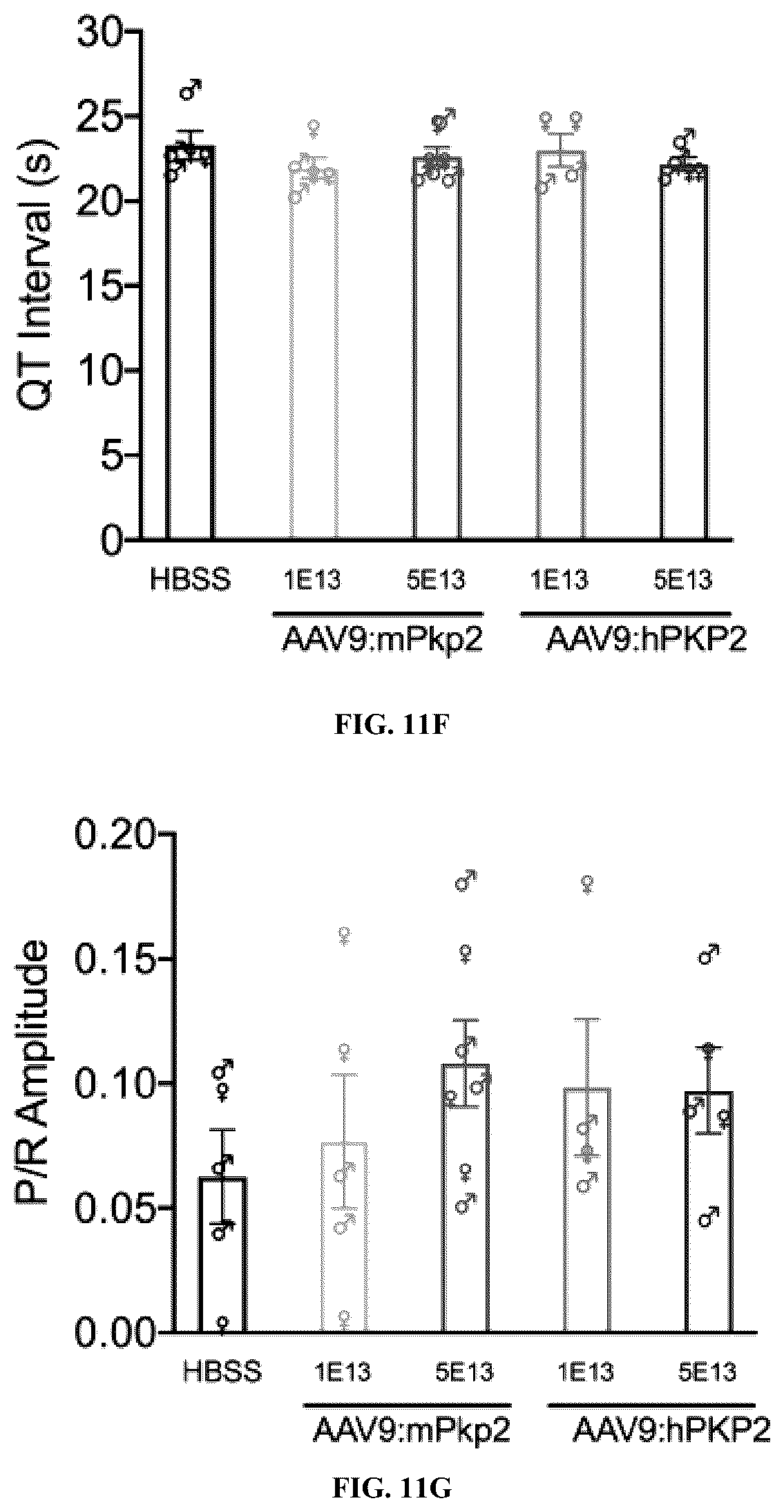 Patent US12576161 Figure 15 – Plakophillin-2 gene therapy methods and compositions