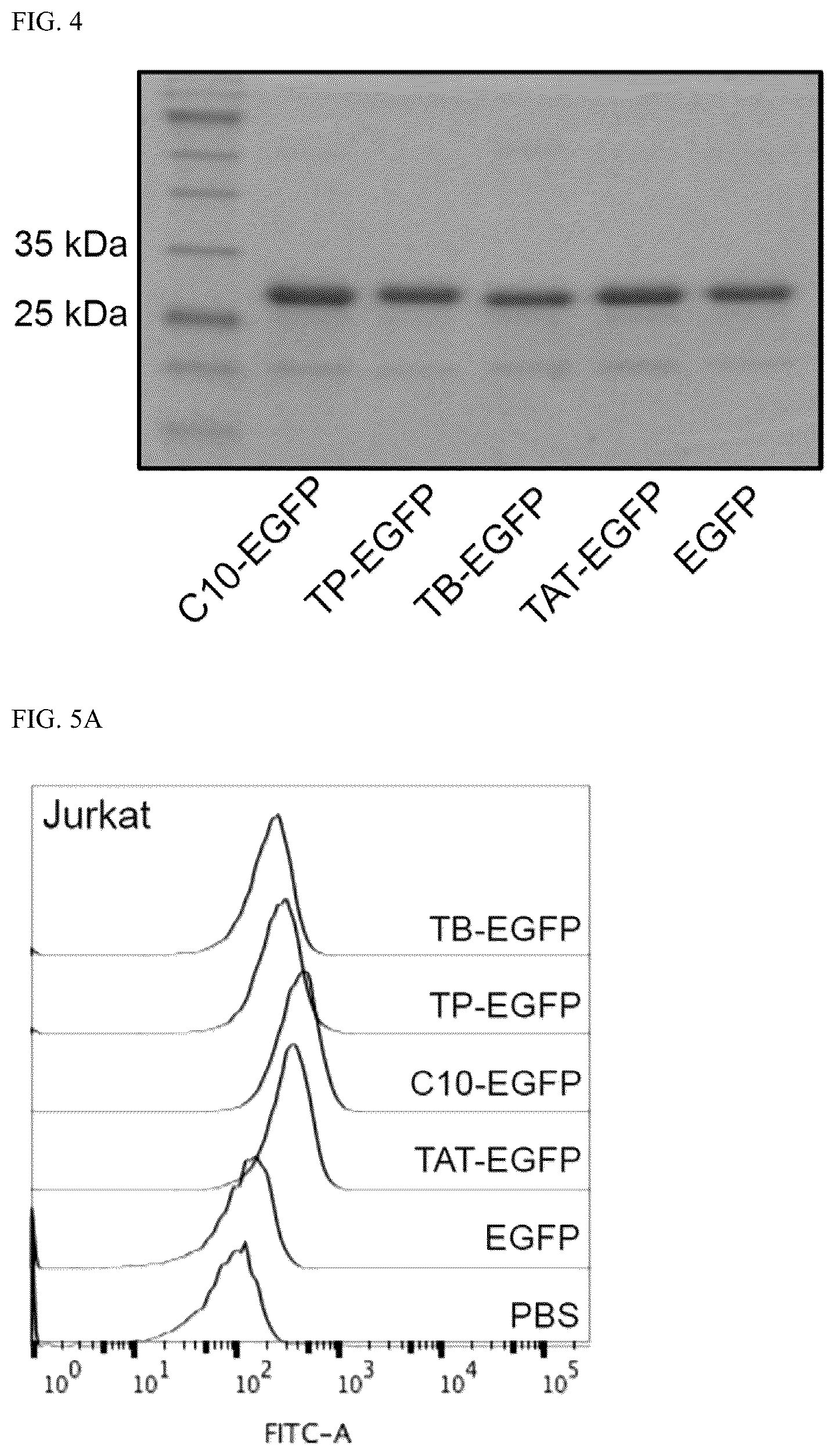 Patent US12576162 Figure 3 – Cell penetrating peptides and uses thereof