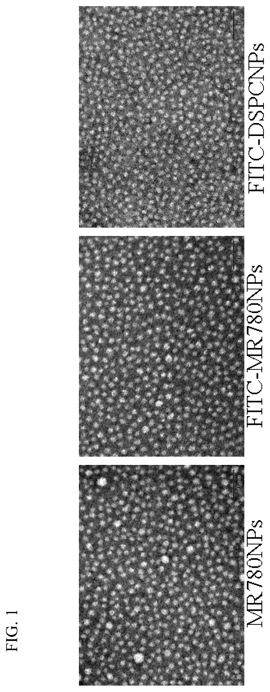 Patent US12576163 Figure 1 – Fluorescent contrast agent with targeting function, and preparation method and use thereof