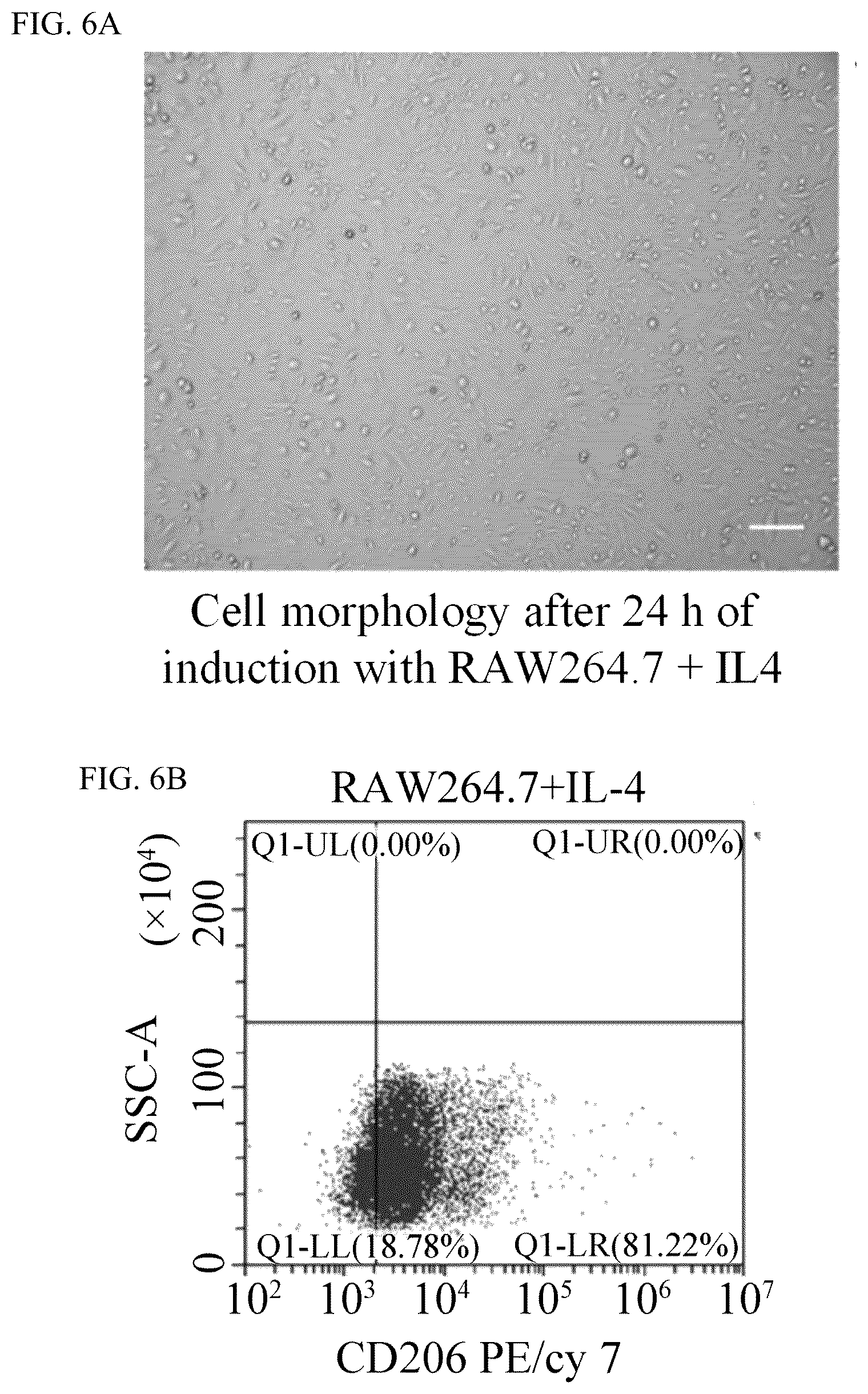 Patent US12576163 Figure 5 – Fluorescent contrast agent with targeting function, and preparation method and use thereof
