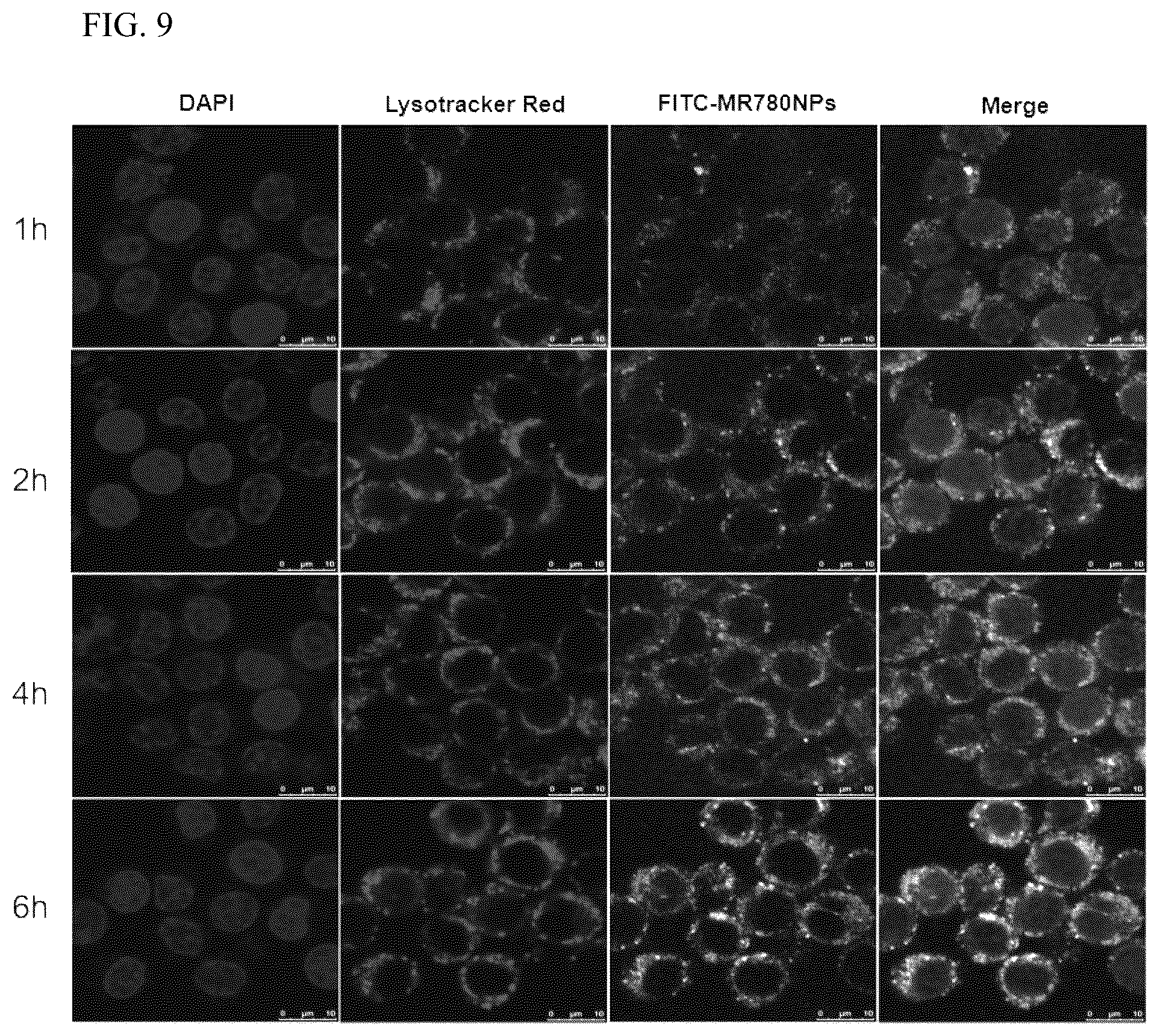 Patent US12576163 Figure 8 – Fluorescent contrast agent with targeting function, and preparation method and use thereof