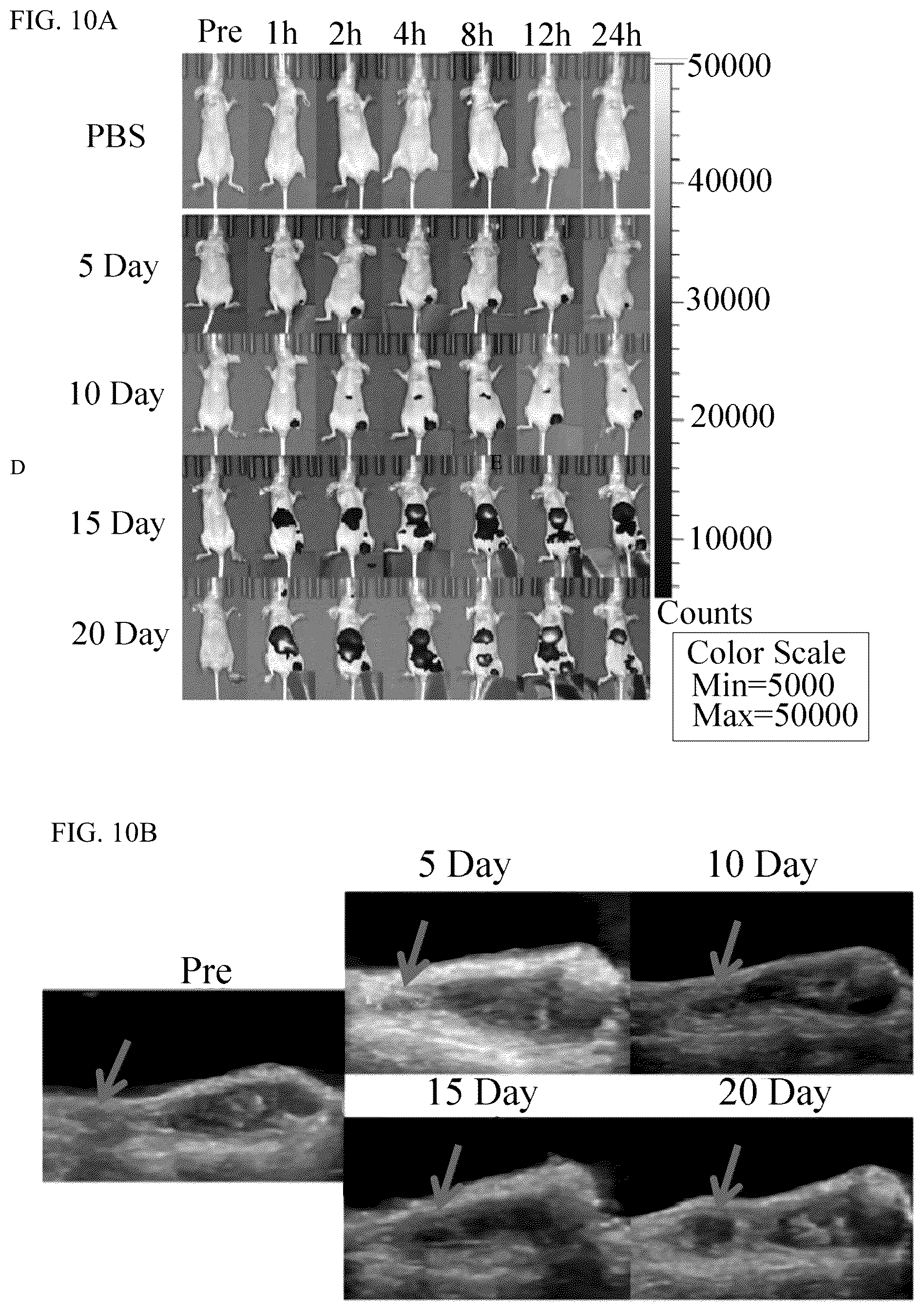 Patent US12576163 Figure 9 – Fluorescent contrast agent with targeting function, and preparation method and use thereof