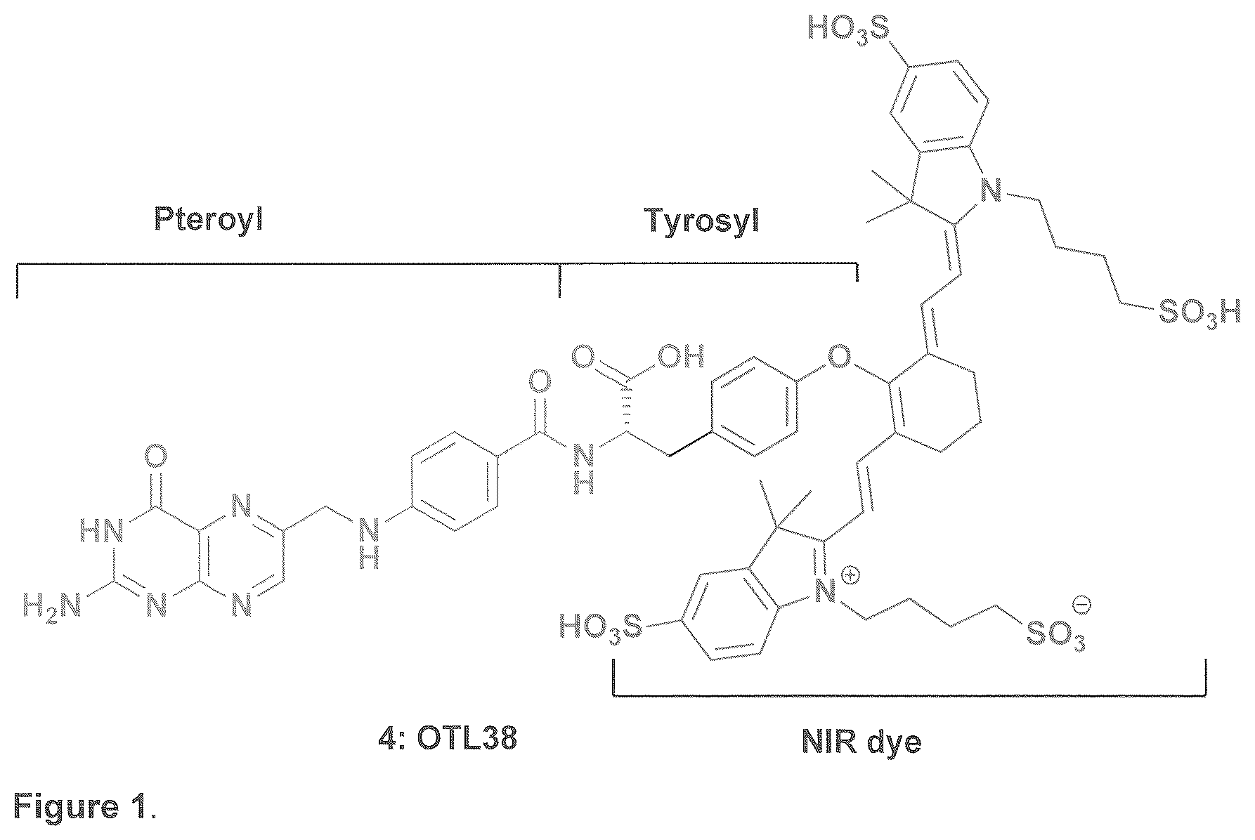 Patent US12576165 Figure 1 – Synthesis and composition of amino acid linking groups conjugated to compounds used for the targeted imaging of tumors