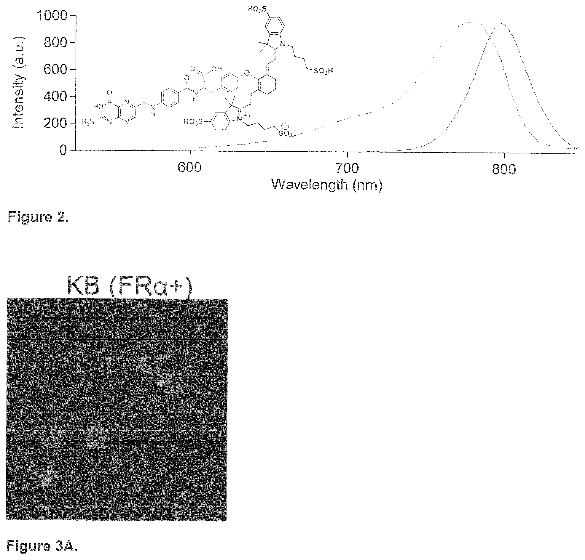 Patent US12576165 Figure 2 – Synthesis and composition of amino acid linking groups conjugated to compounds used for the targeted imaging of tumors