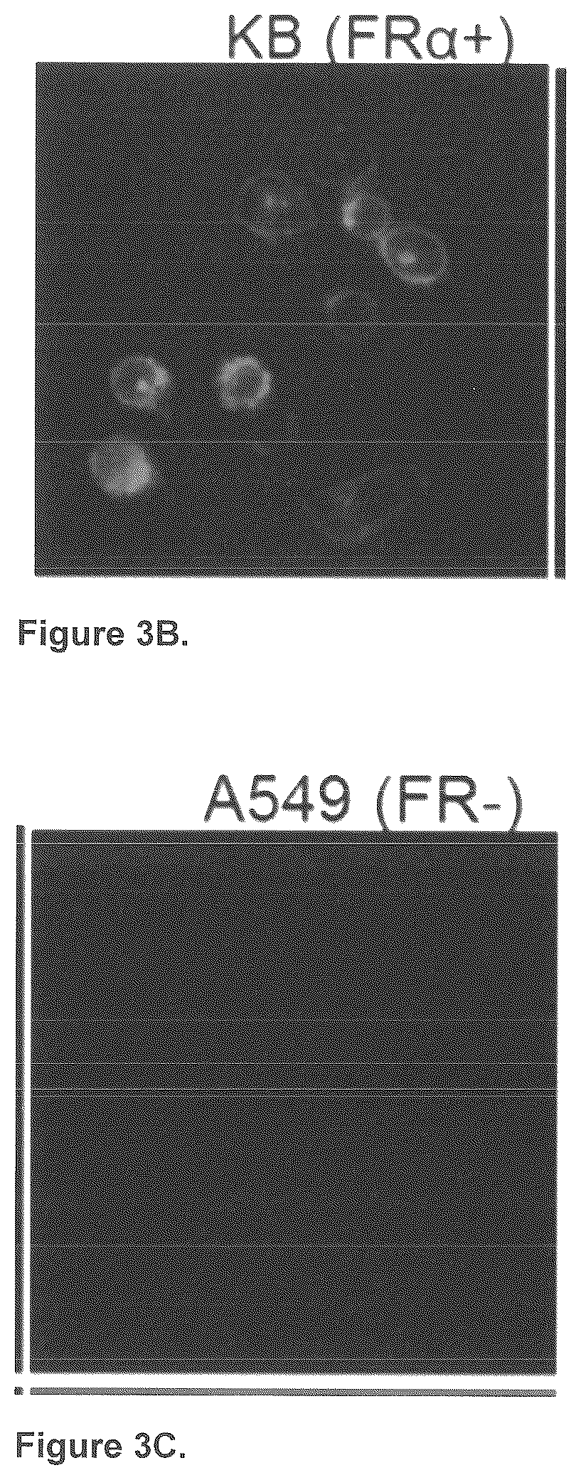 Patent US12576165 Figure 3 – Synthesis and composition of amino acid linking groups conjugated to compounds used for the targeted imaging of tumors
