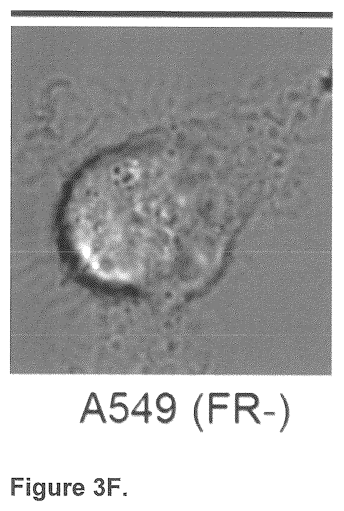 Patent US12576165 Figure 5 – Synthesis and composition of amino acid linking groups conjugated to compounds used for the targeted imaging of tumors