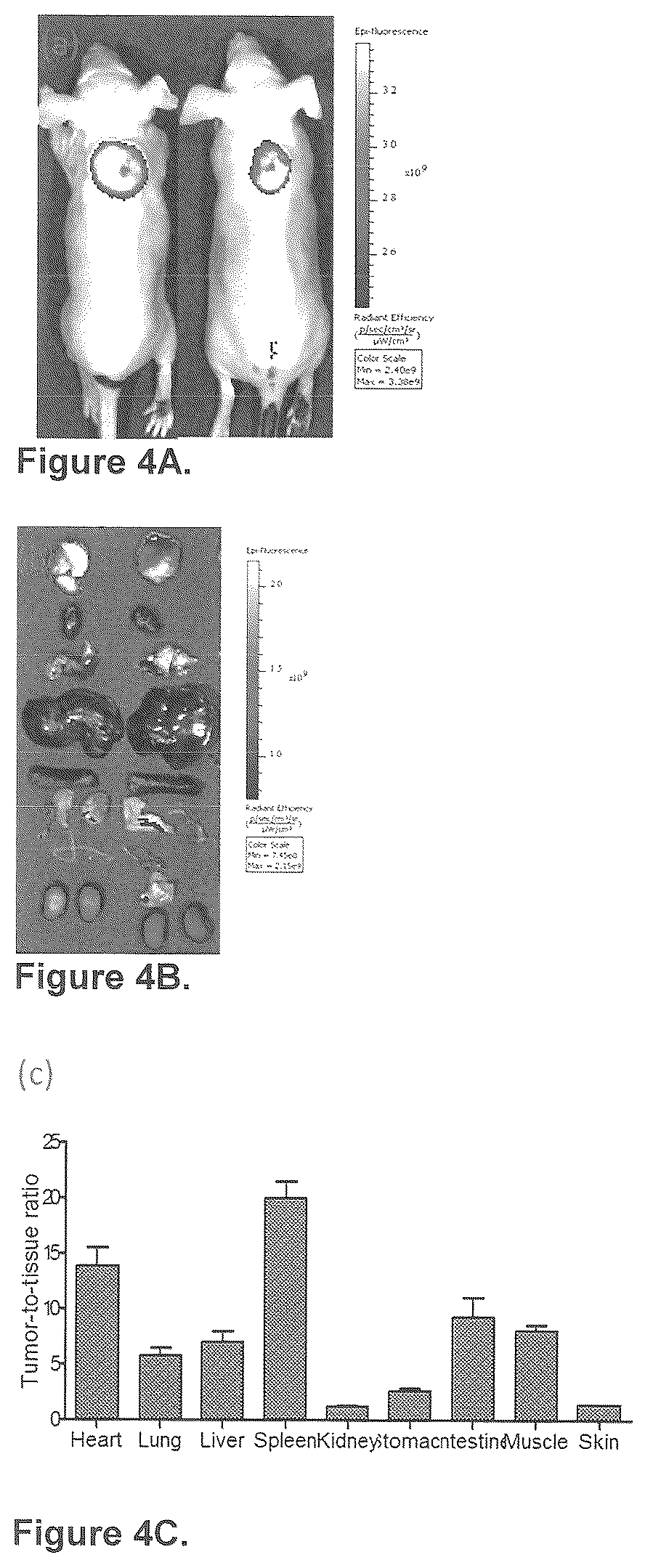 Patent US12576165 Figure 6 – Synthesis and composition of amino acid linking groups conjugated to compounds used for the targeted imaging of tumors
