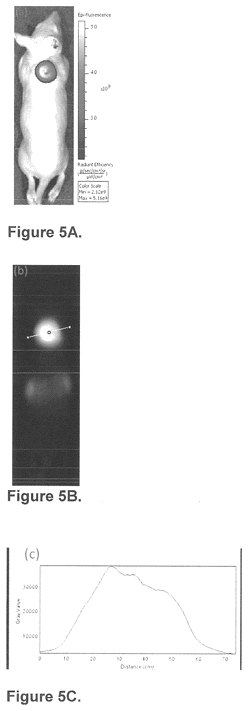 Patent US12576165 Figure 7 – Synthesis and composition of amino acid linking groups conjugated to compounds used for the targeted imaging of tumors