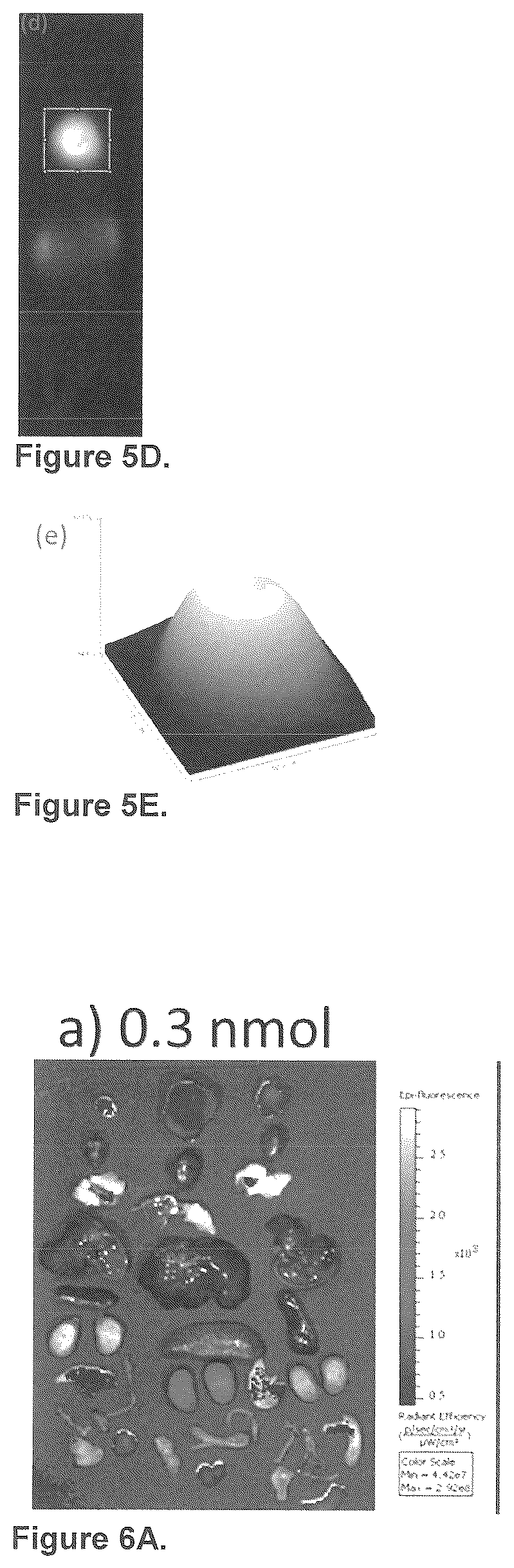Patent US12576165 Figure 8 – Synthesis and composition of amino acid linking groups conjugated to compounds used for the targeted imaging of tumors