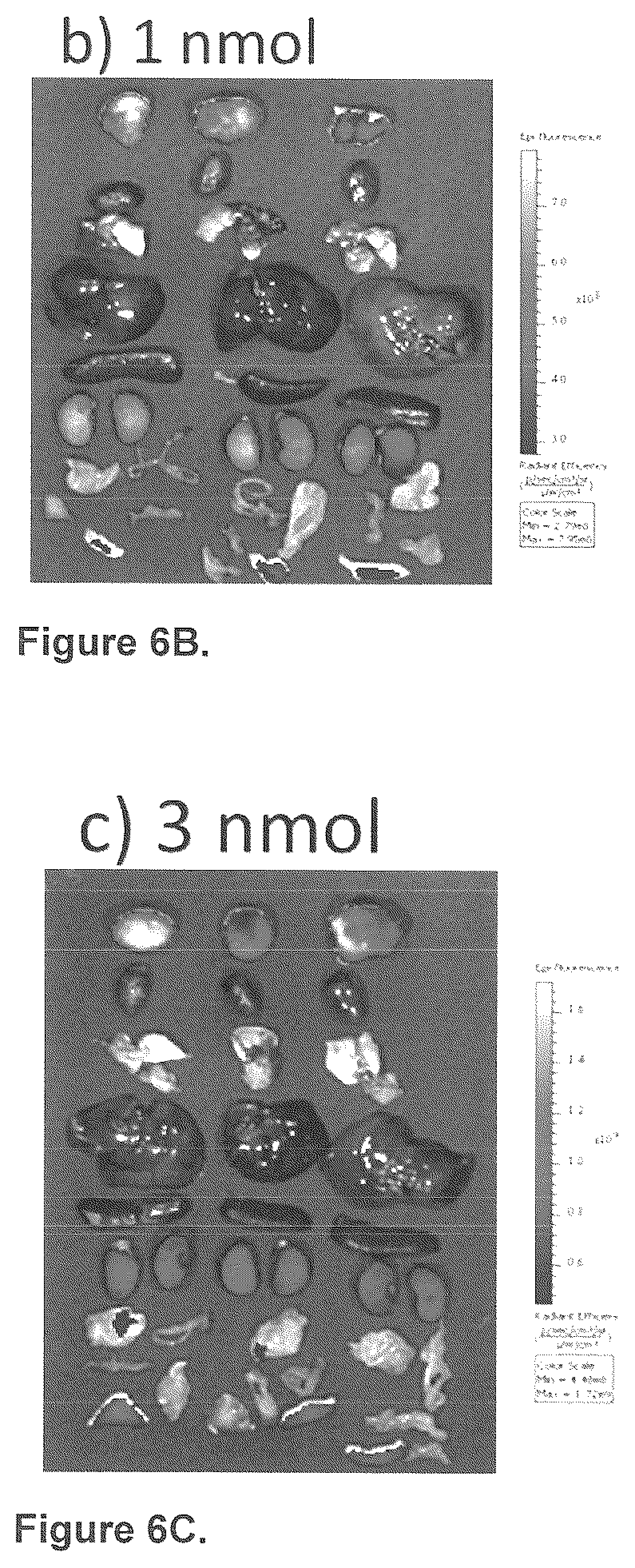 Patent US12576165 Figure 9 – Synthesis and composition of amino acid linking groups conjugated to compounds used for the targeted imaging of tumors