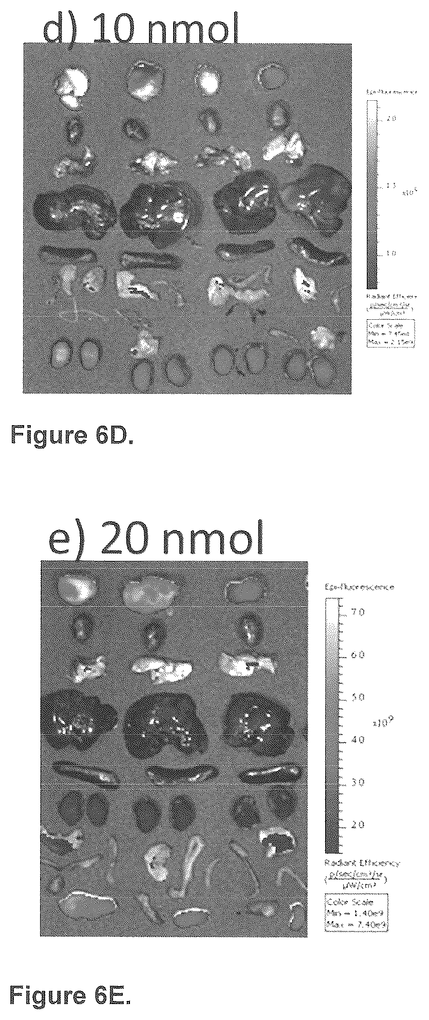 Patent US12576165 Figure 10 – Synthesis and composition of amino acid linking groups conjugated to compounds used for the targeted imaging of tumors