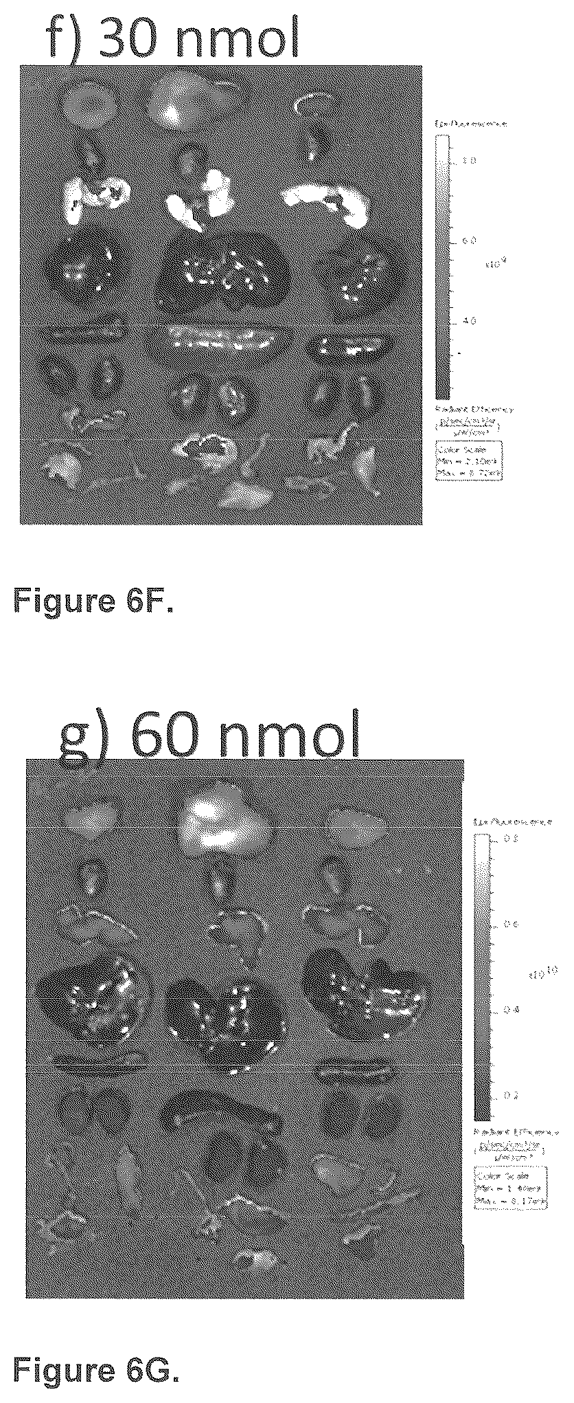Patent US12576165 Figure 11 – Synthesis and composition of amino acid linking groups conjugated to compounds used for the targeted imaging of tumors