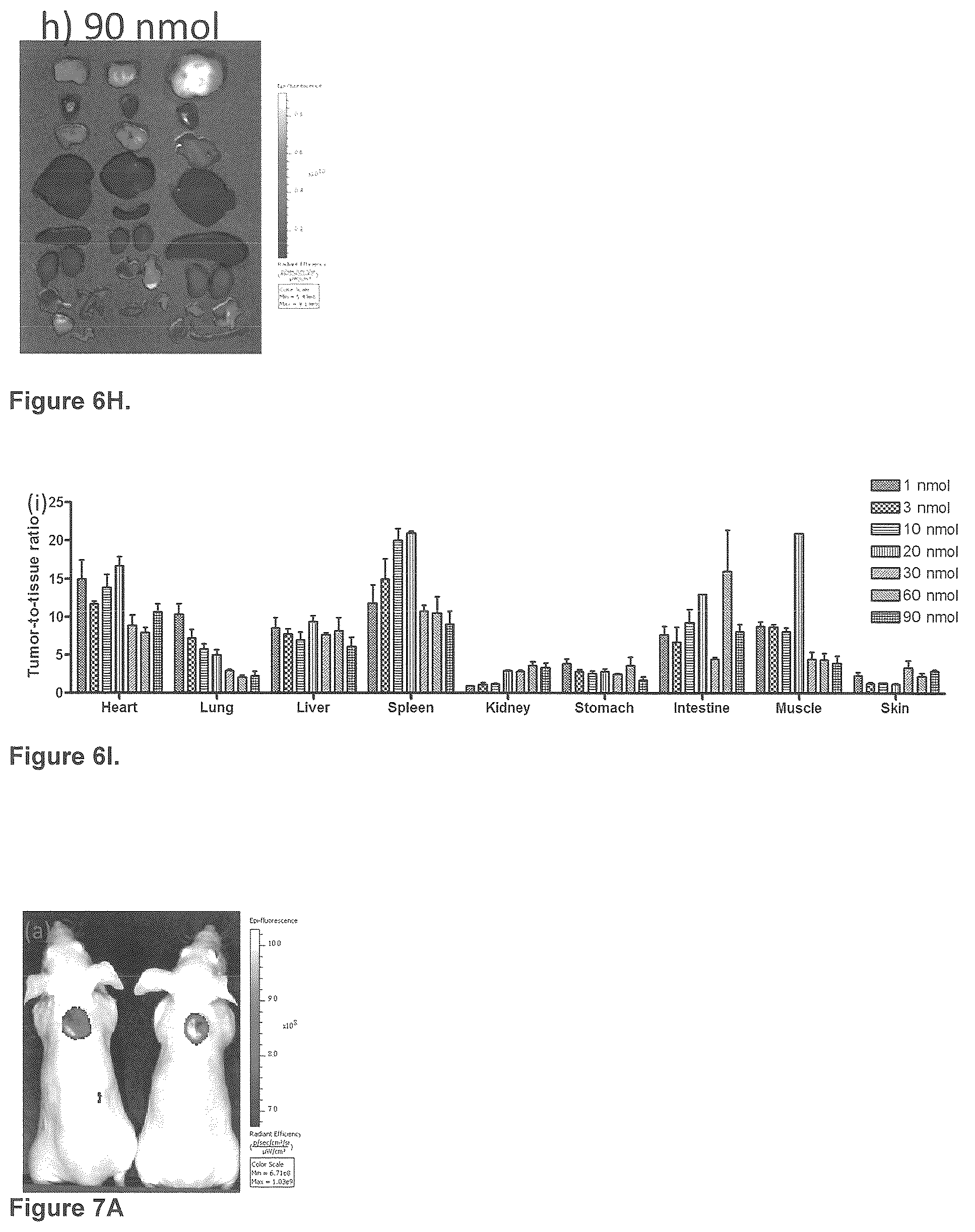 Patent US12576165 Figure 12 – Synthesis and composition of amino acid linking groups conjugated to compounds used for the targeted imaging of tumors