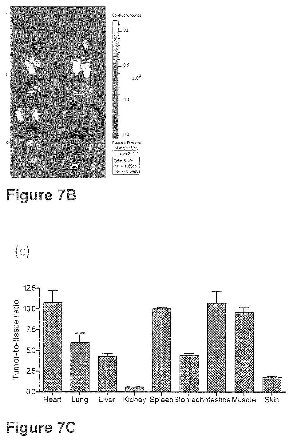 Patent US12576165 Figure 13 – Synthesis and composition of amino acid linking groups conjugated to compounds used for the targeted imaging of tumors
