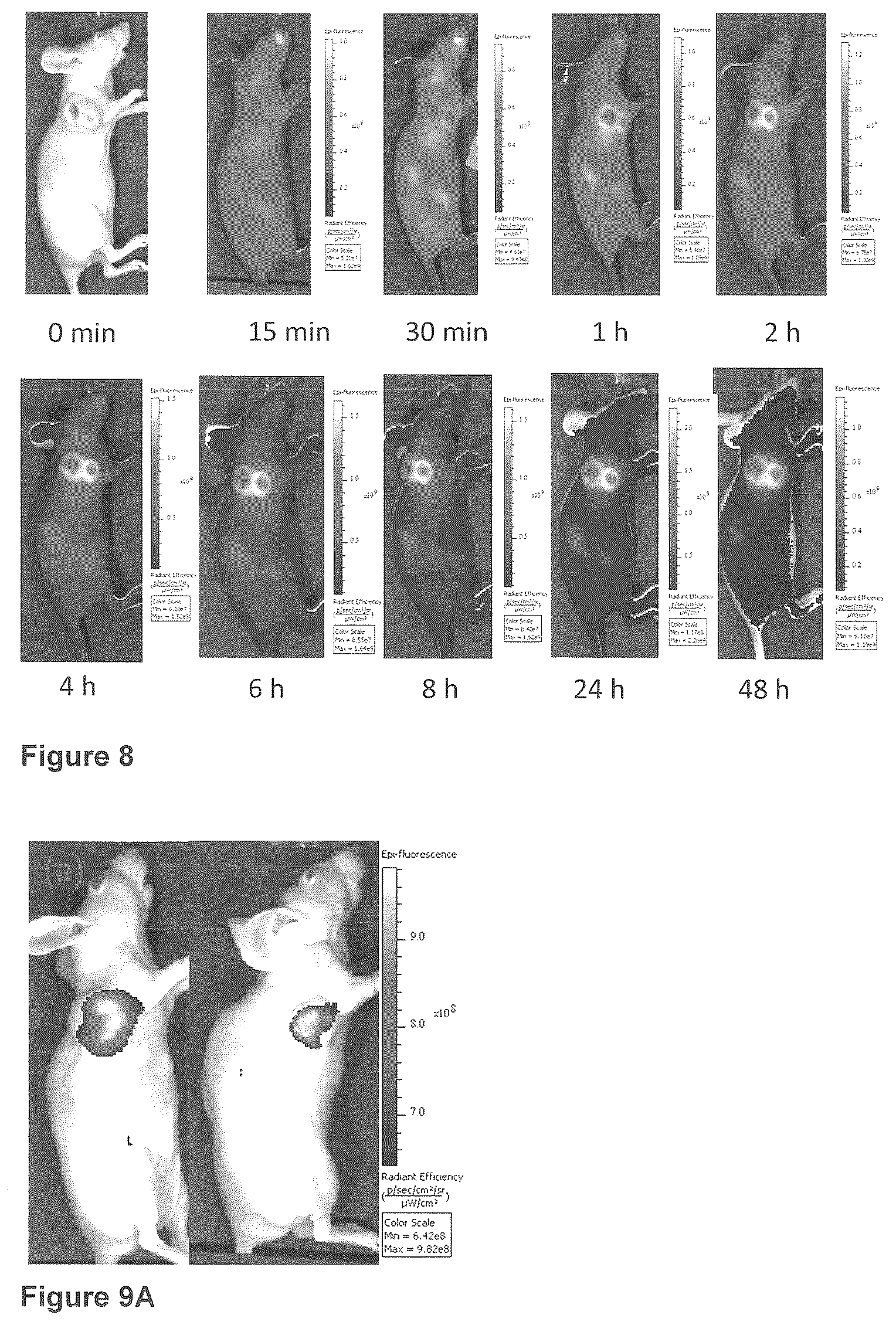 Patent US12576165 Figure 14 – Synthesis and composition of amino acid linking groups conjugated to compounds used for the targeted imaging of tumors